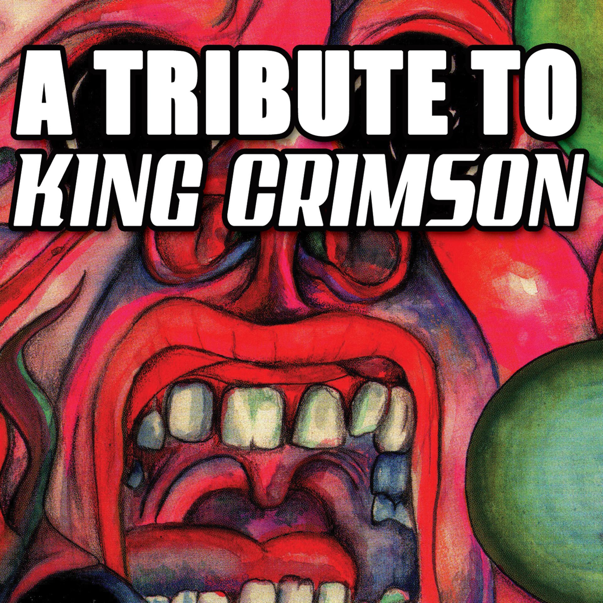 Постер альбома A Tribute To King Crimson