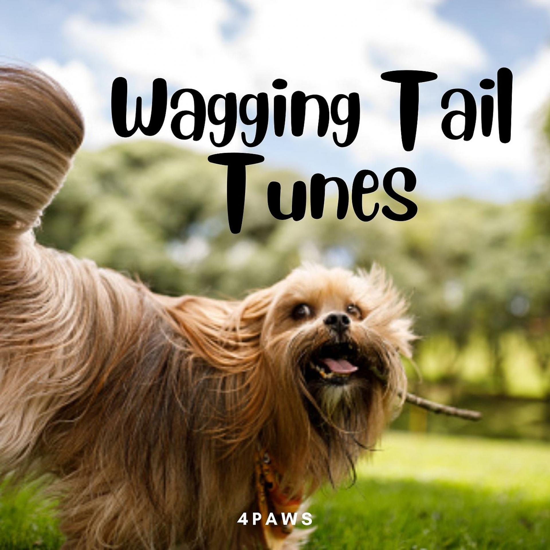 Постер альбома 4Paws: Wagging Tail Tunes