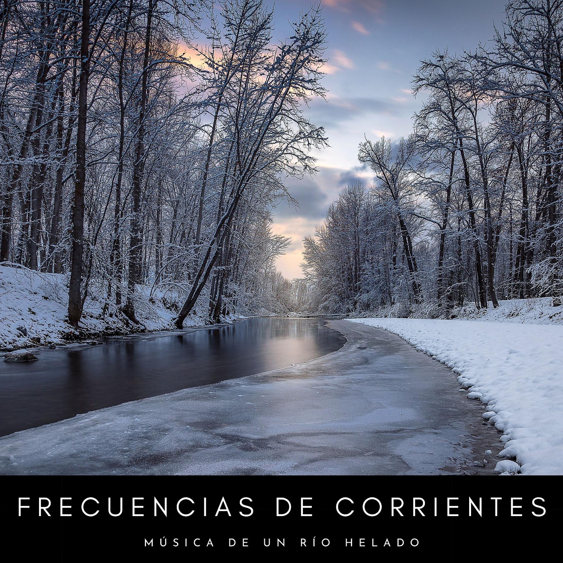 Постер альбома Frecuencias De Corrientes: Música De Un Río Helado