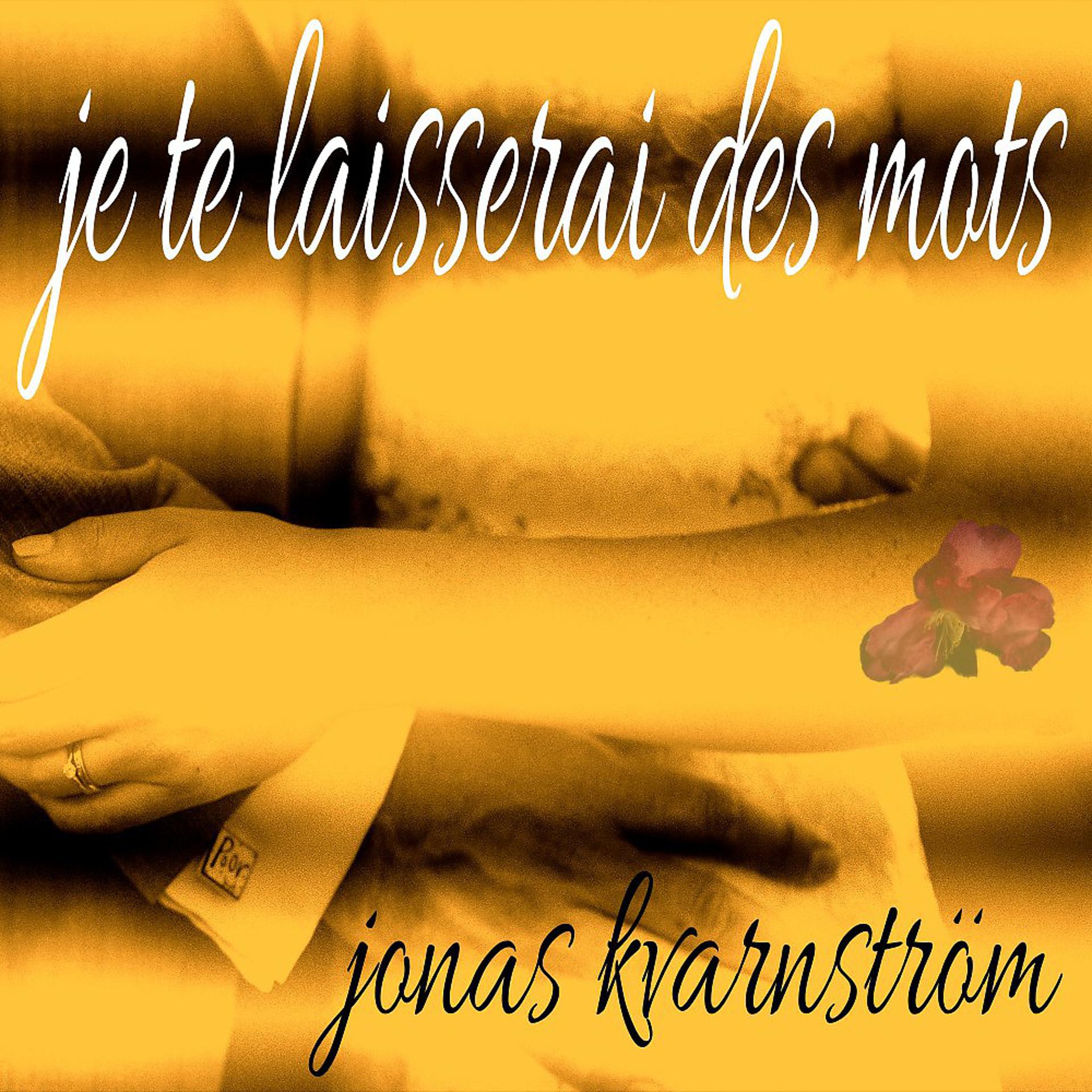 Постер альбома Je Te Laisserai Des Mots