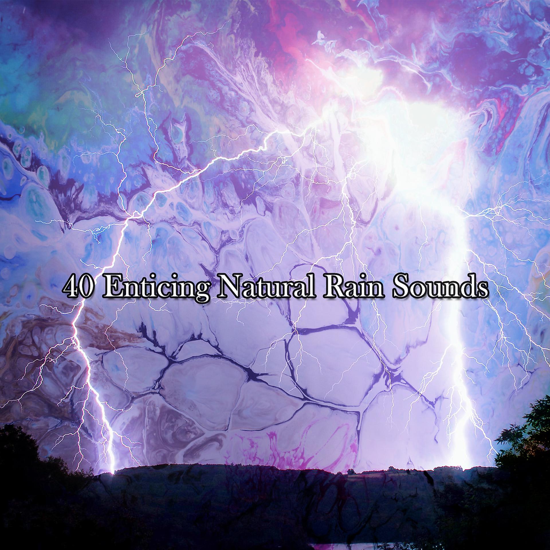 Постер альбома 40 заманчивых природных звуков дождя