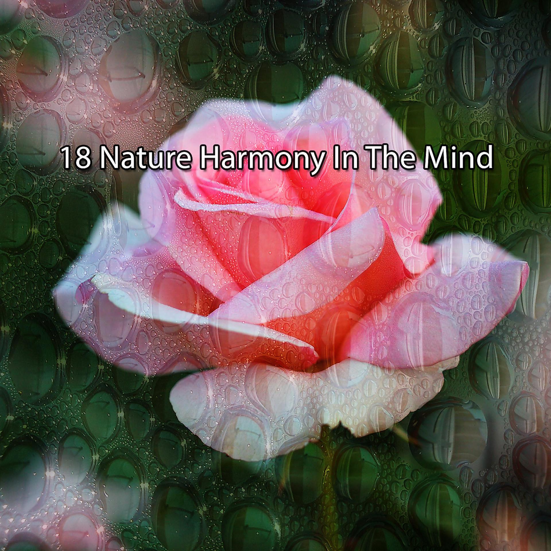 Постер альбома 18 Гармония природы в уме