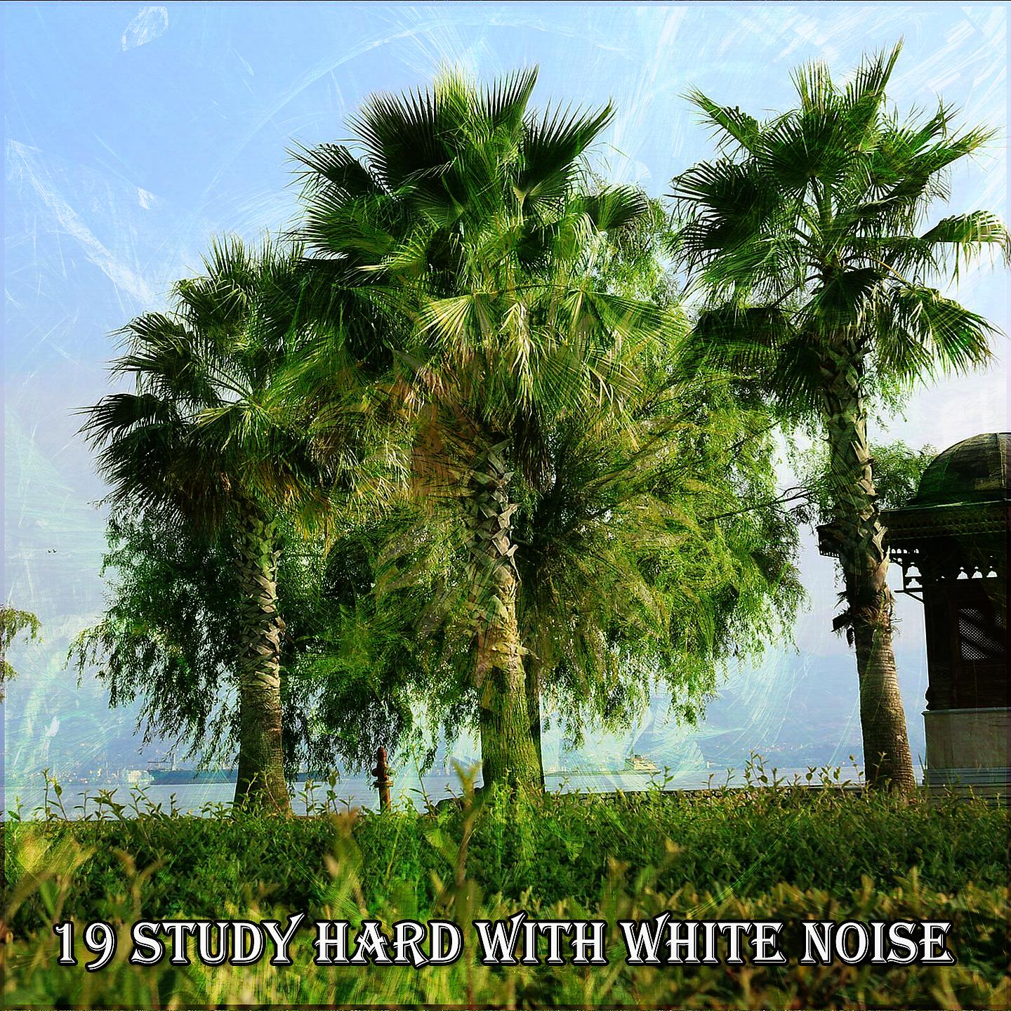 Постер альбома 19 Усердно учись с белым шумом