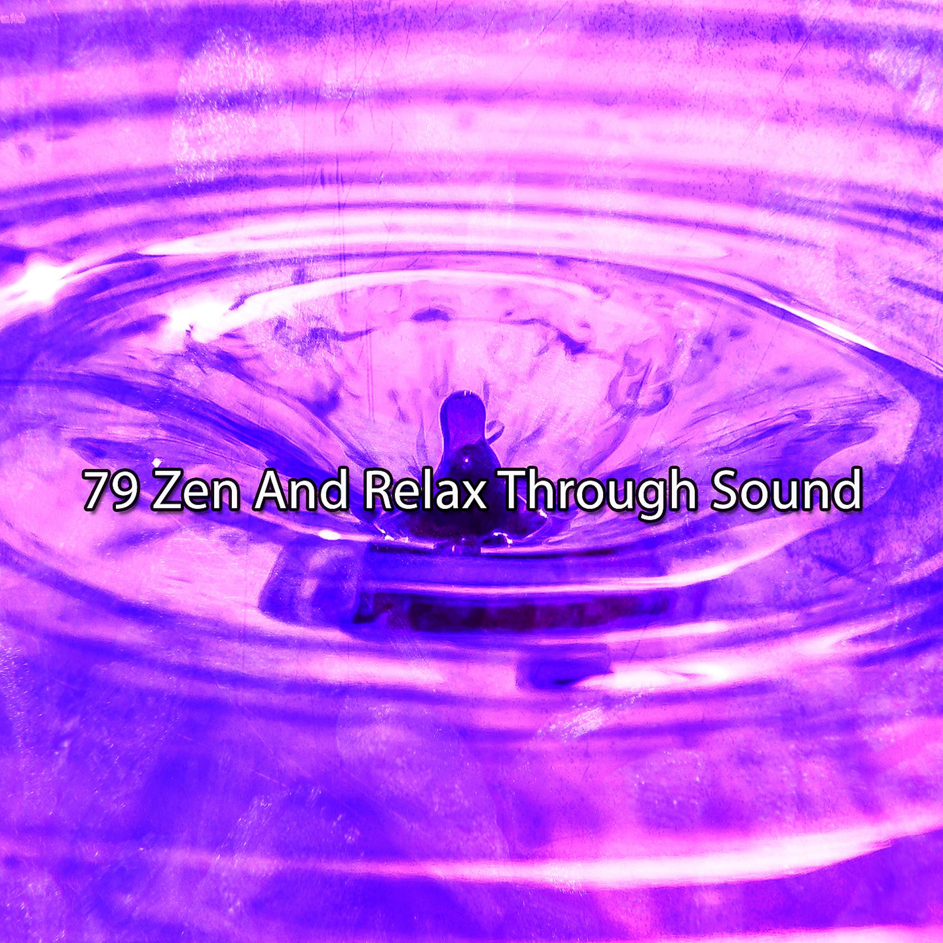 Постер альбома 79 Zen And Relax Through Sound