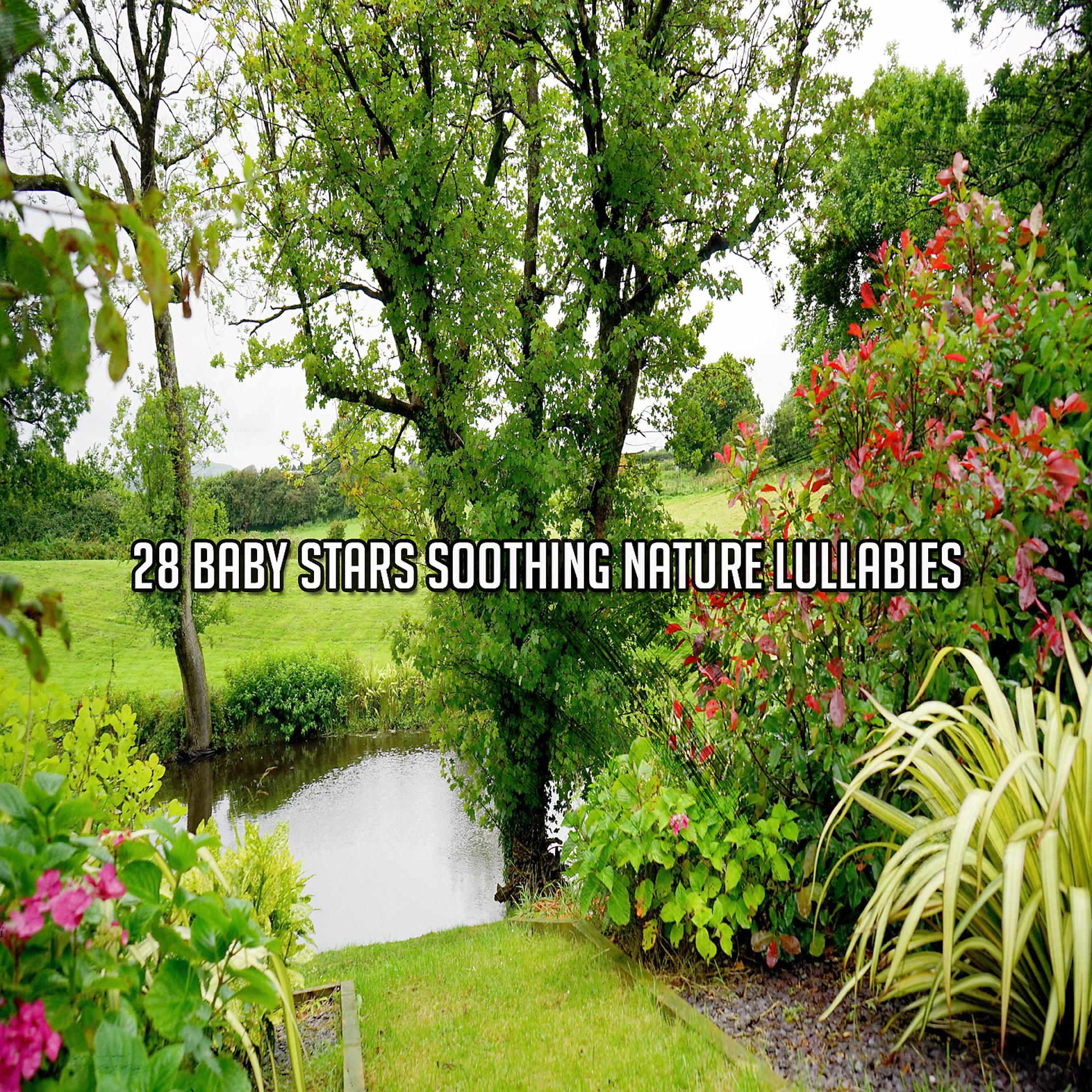 Постер альбома 28 Baby Stars Soothing Nature Lullabies
