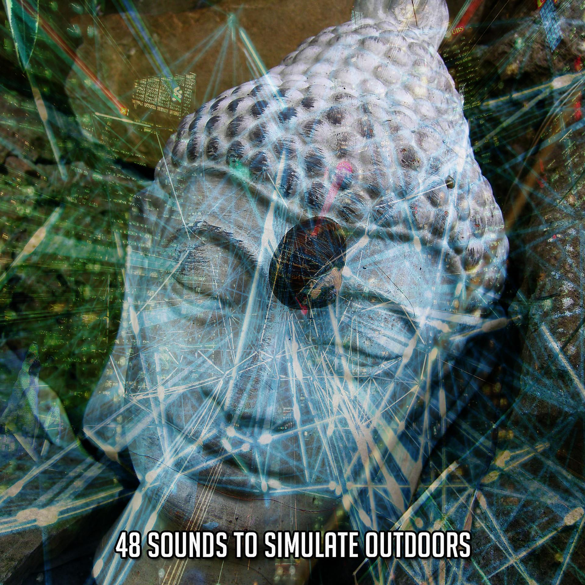 Постер альбома 48 звуков для имитации на открытом воздухе