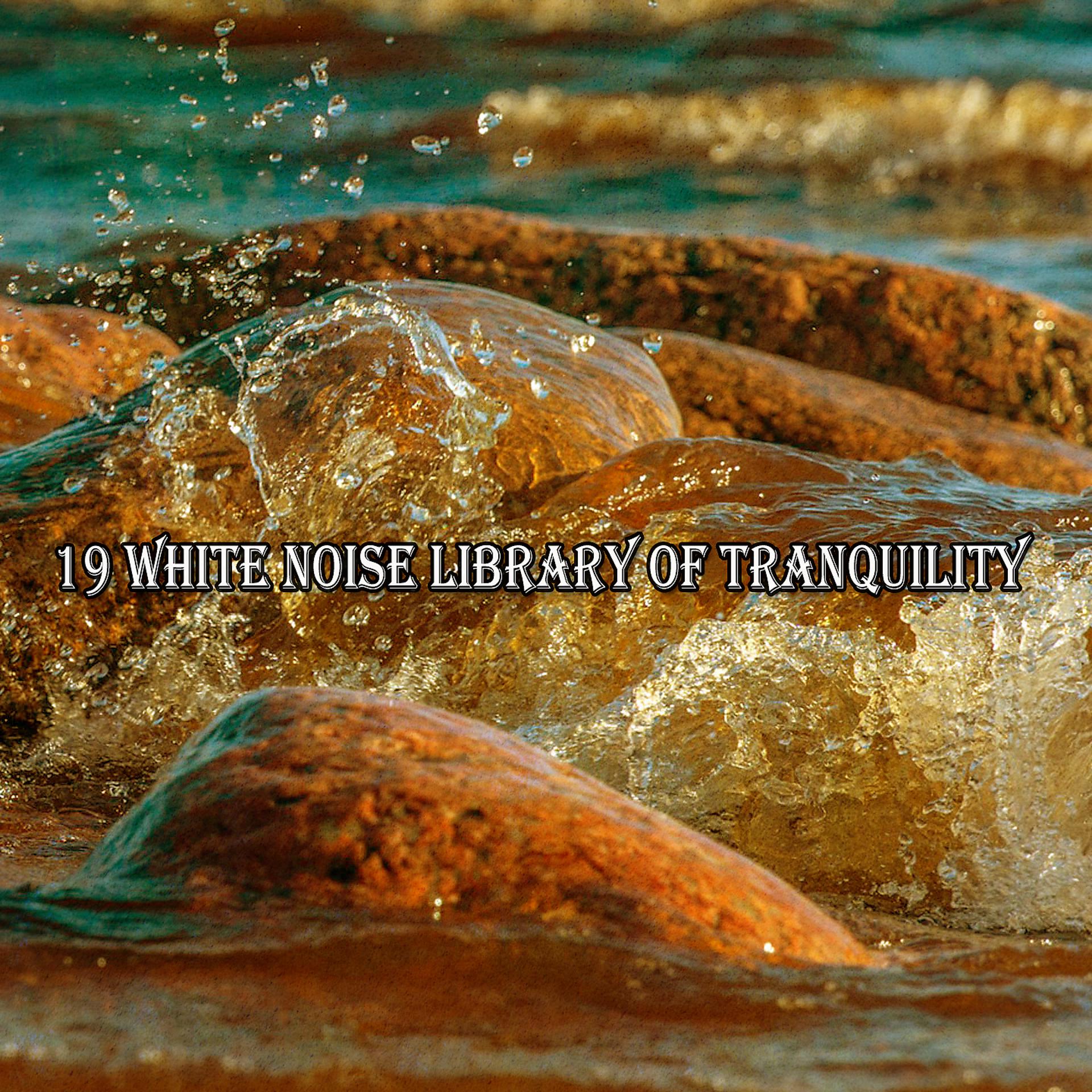 Постер альбома 19 White Noise Library Of Tranquility