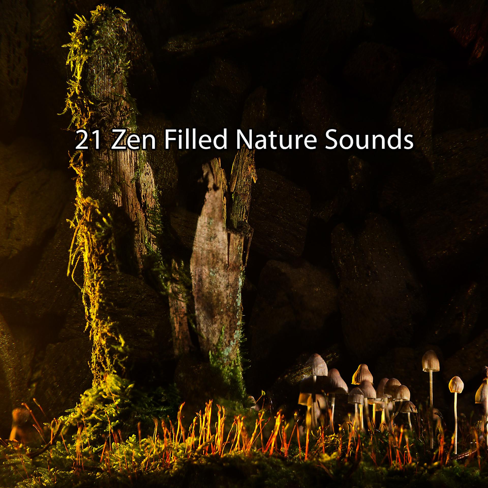 Постер альбома 21 звук природы, наполненный дзен