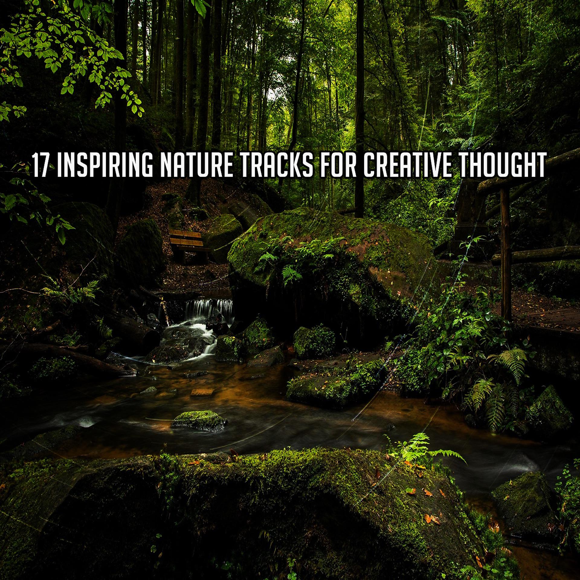 Постер альбома 17 вдохновляющих природных треков для творческой мысли