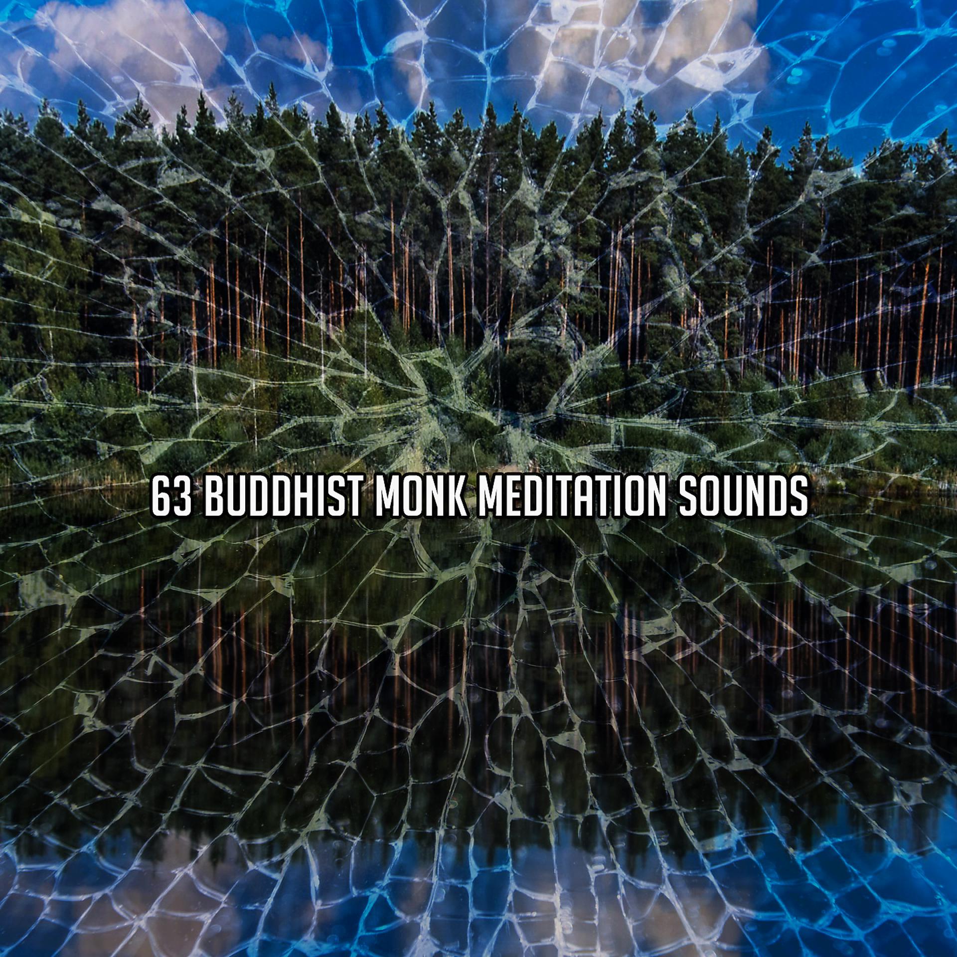 Постер альбома !!!! 63 звука медитации буддийского монаха !!!!
