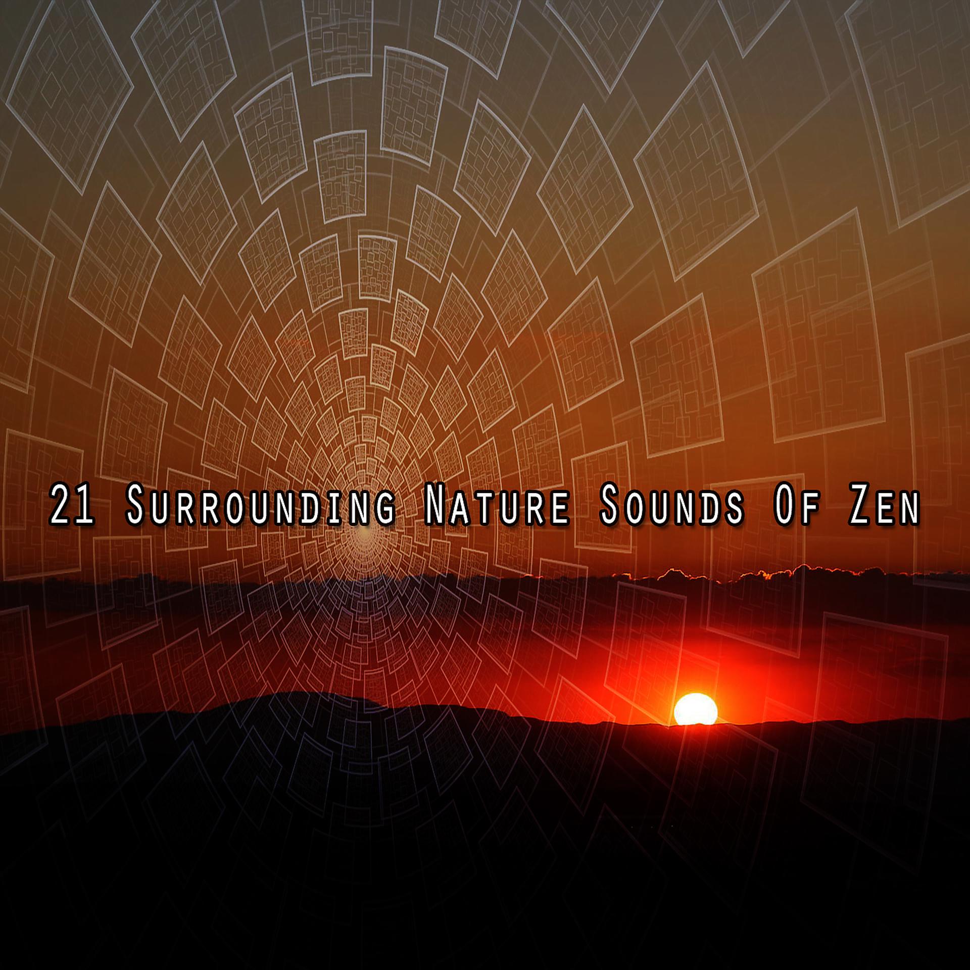 Постер альбома 21 Окружающая природа Звуки дзен