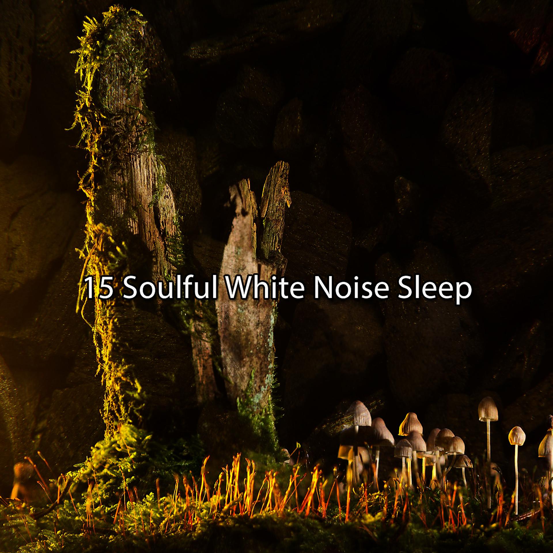 Постер альбома 15 Душевный сон с белым шумом