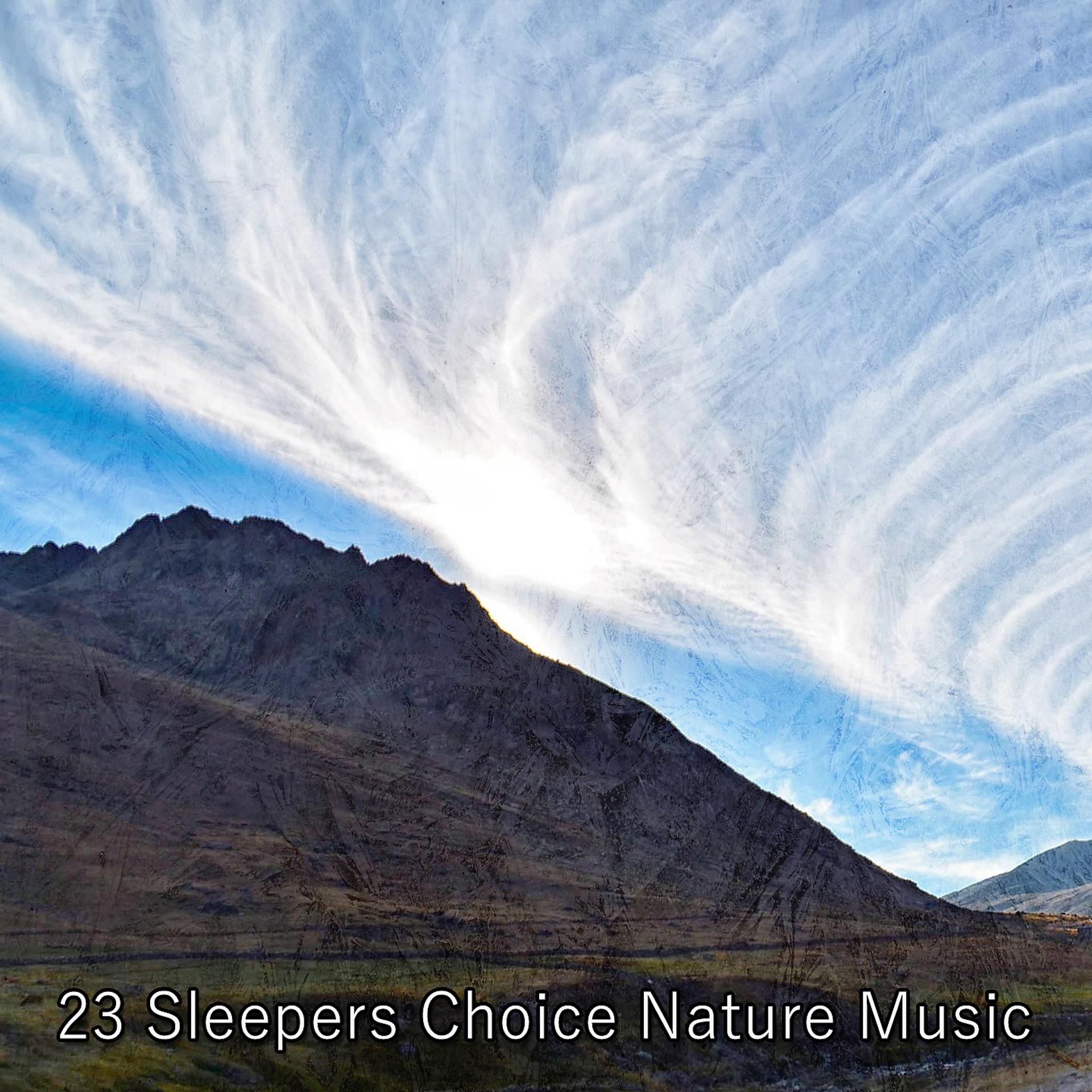 Постер альбома 23 Sleepers Choice Музыка природы