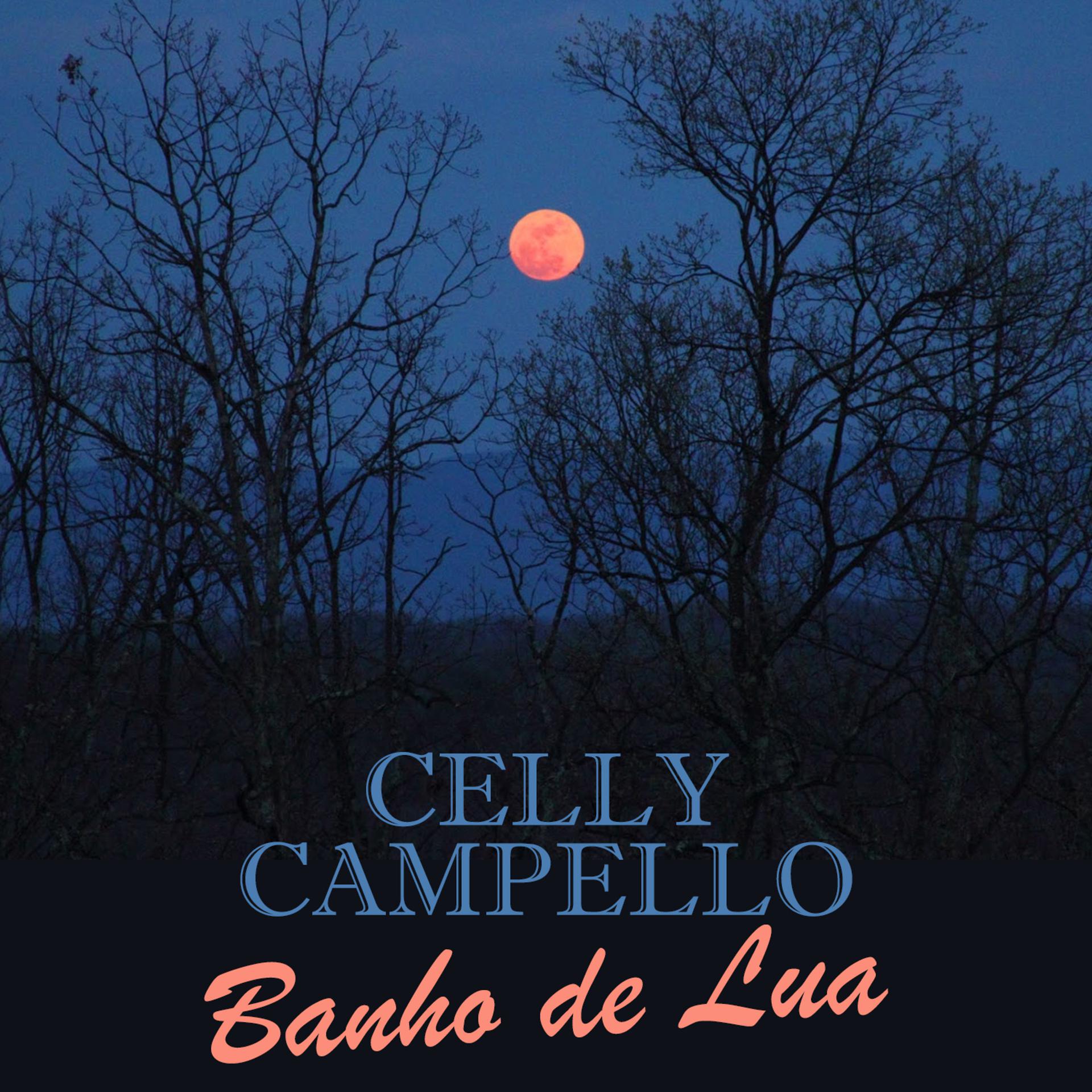 Постер альбома Banho de Lua