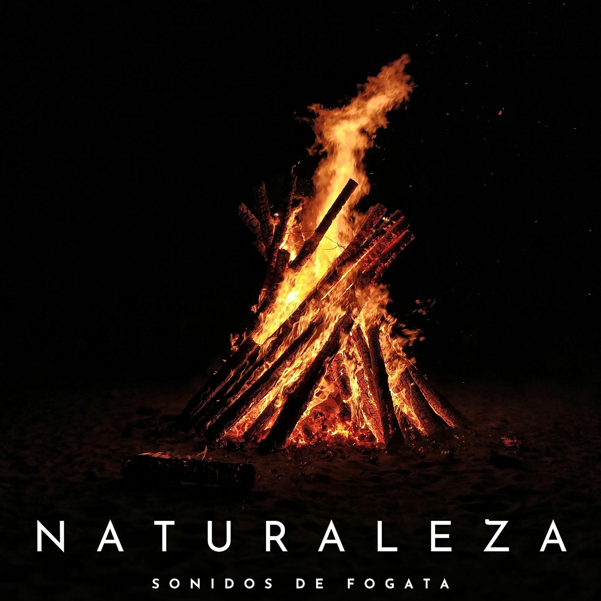 Постер альбома Naturaleza: Sonidos De Fogata