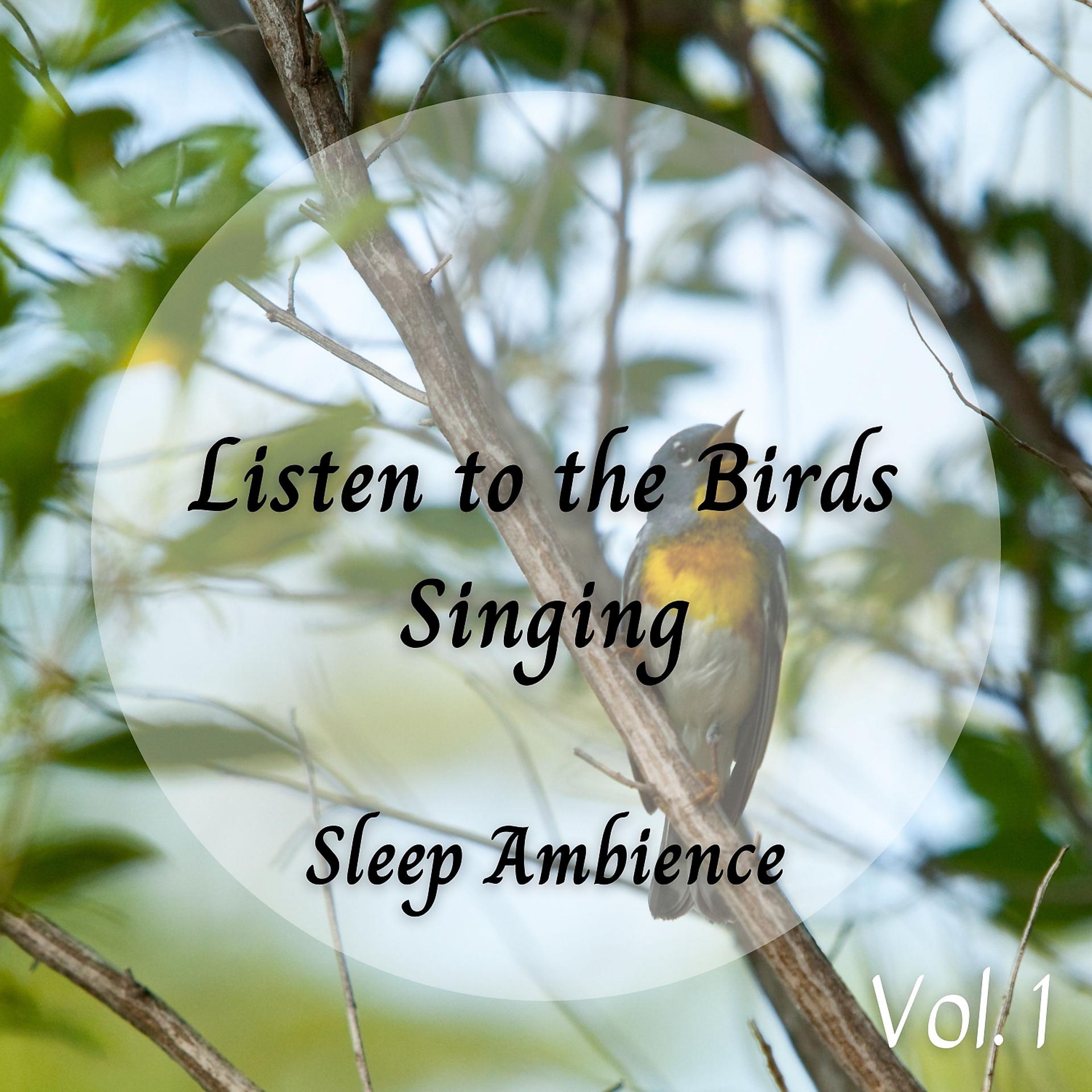 Постер альбома Sleep Ambience: Listen to the Birds Singing Vol. 1