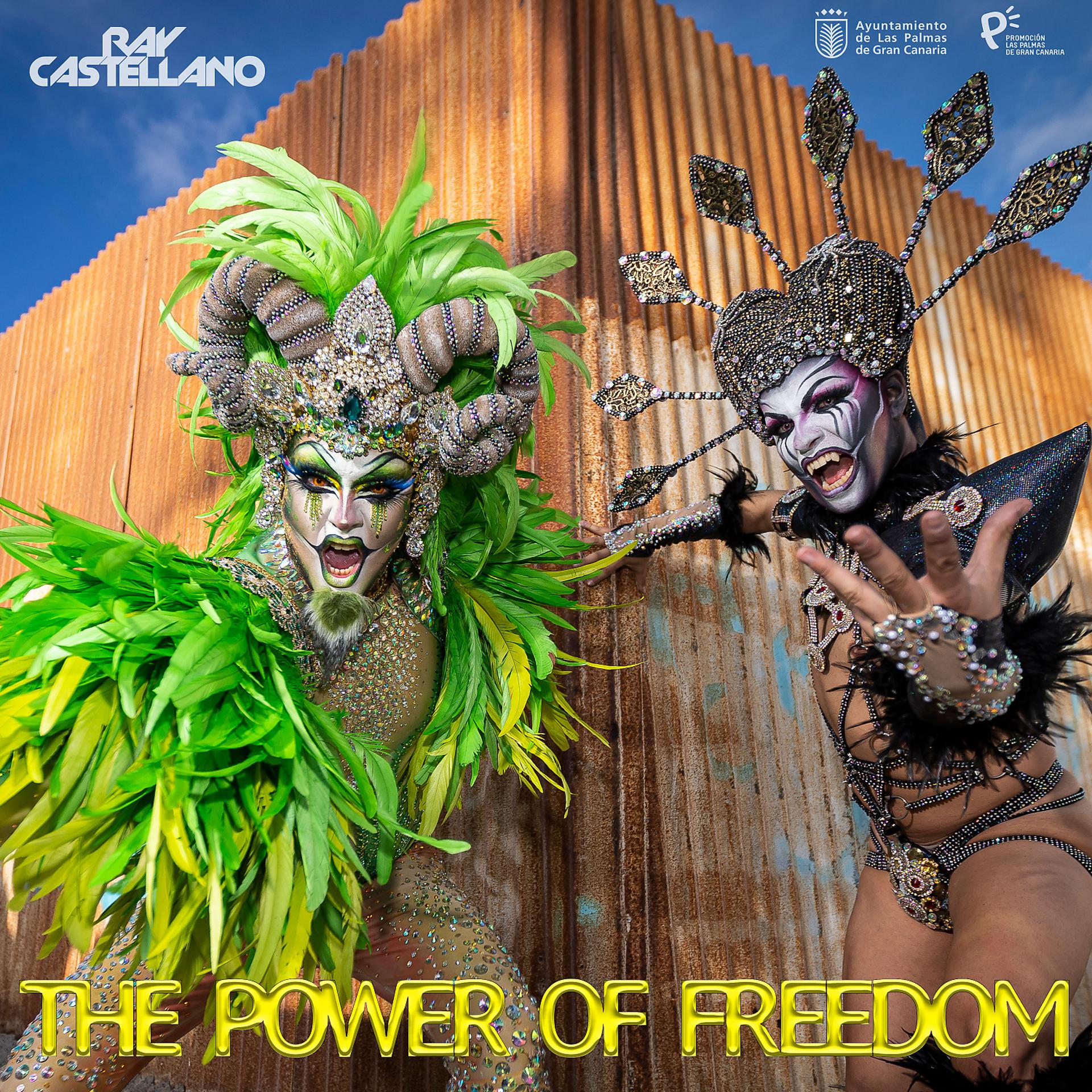 Постер альбома The power of freedom