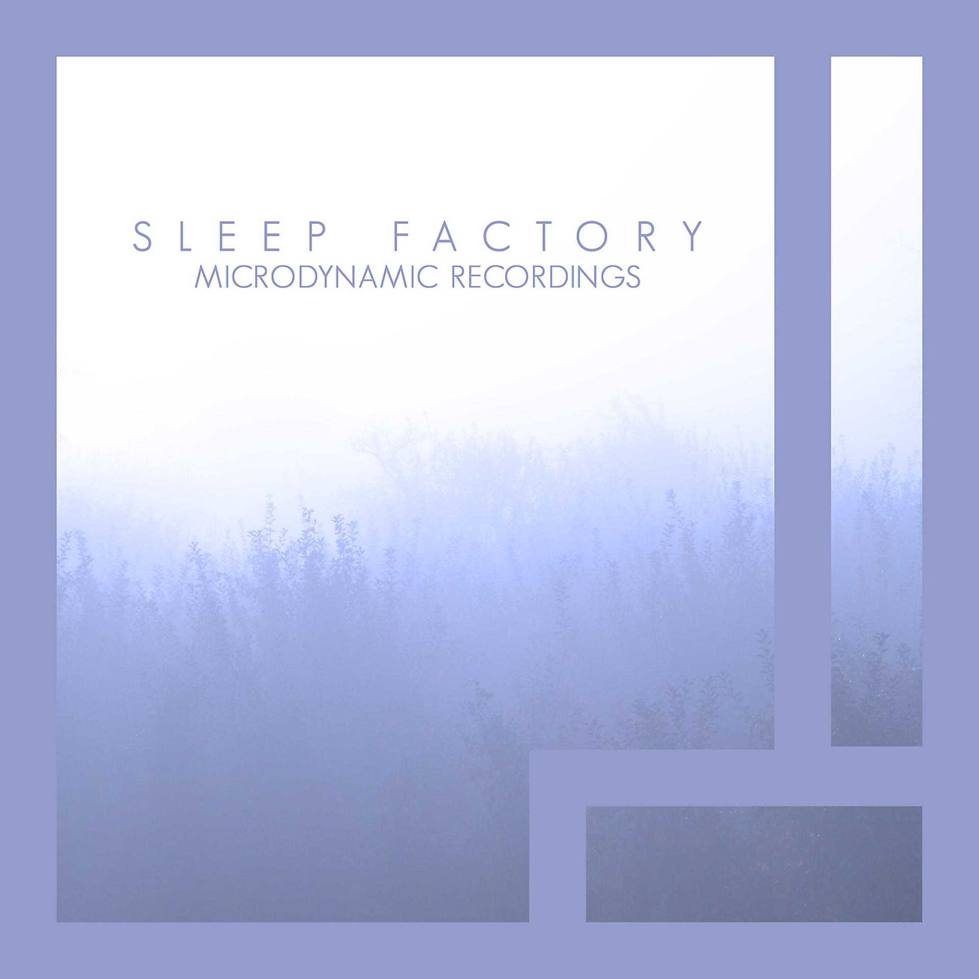 Постер альбома Sleep Factory