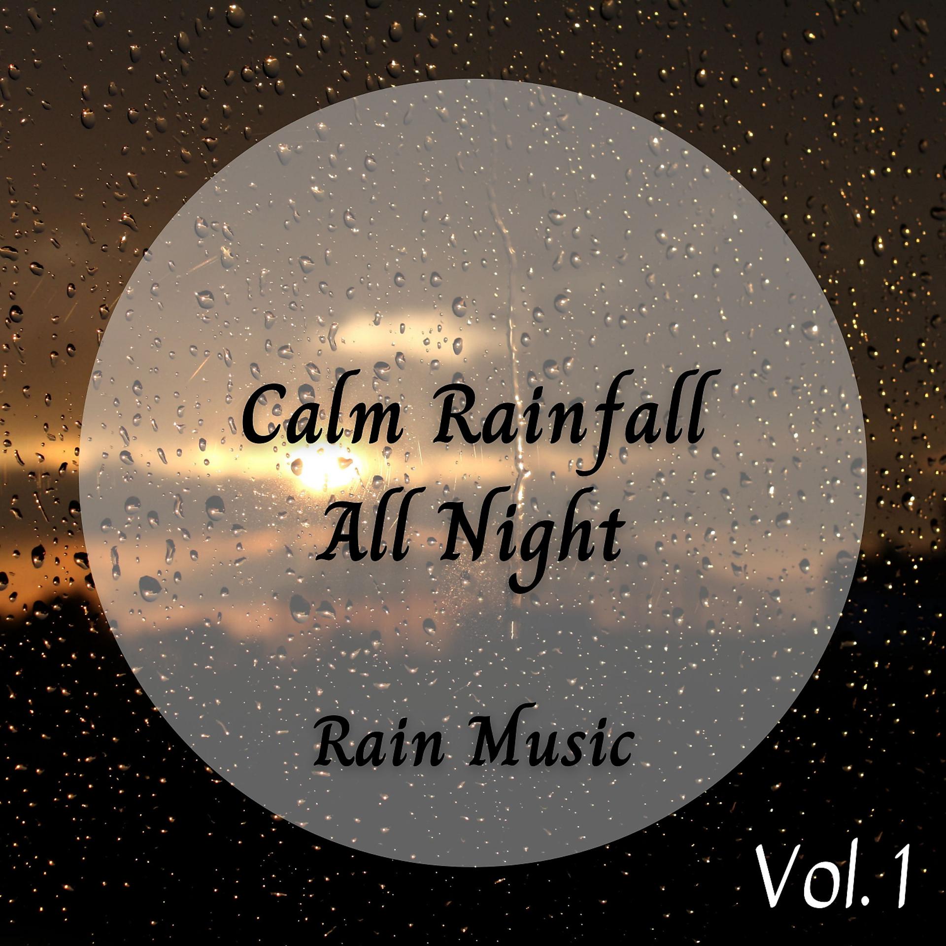 Постер альбома Rain Music: Calm Rainfall All Night  Vol. 1