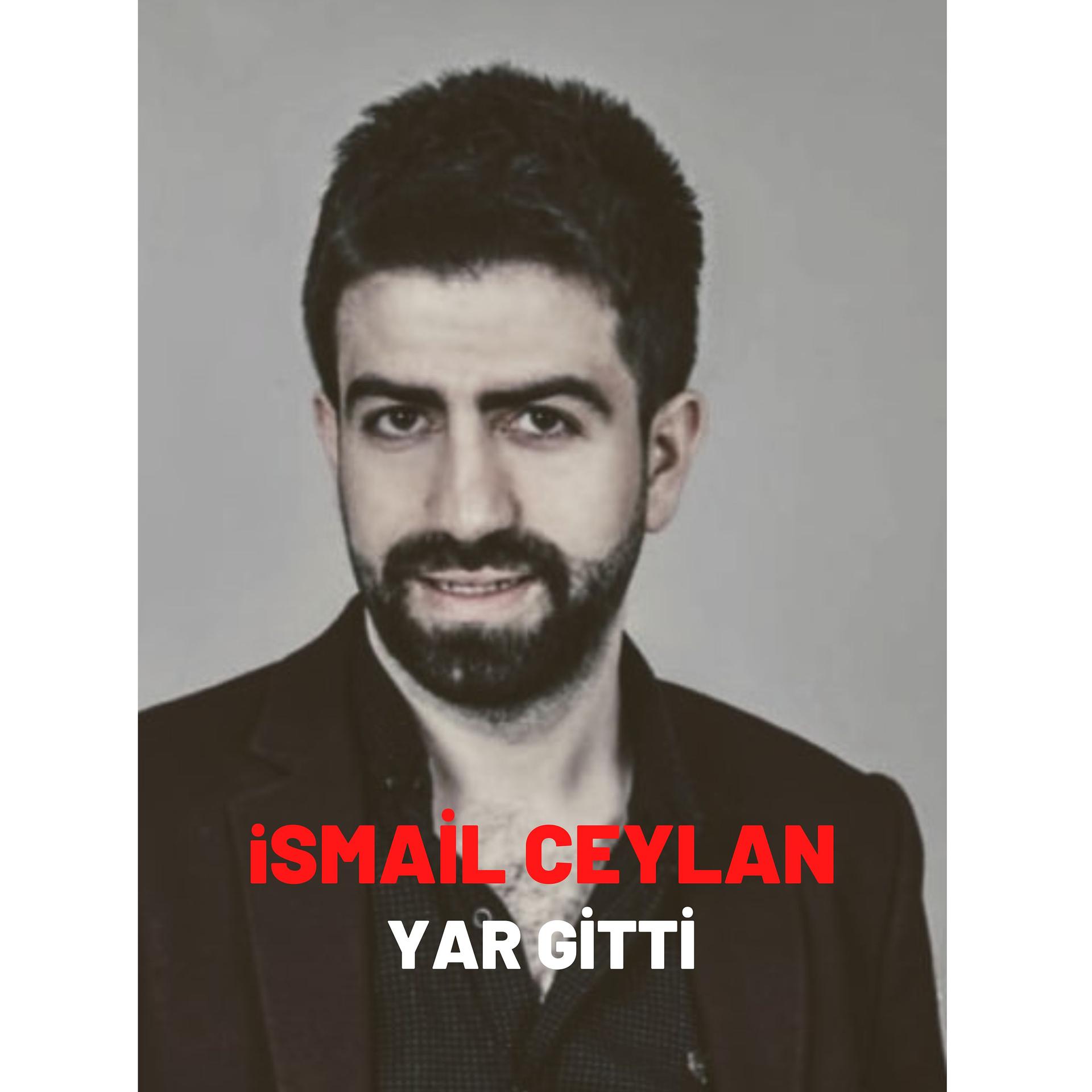 Постер альбома Yar Gitti