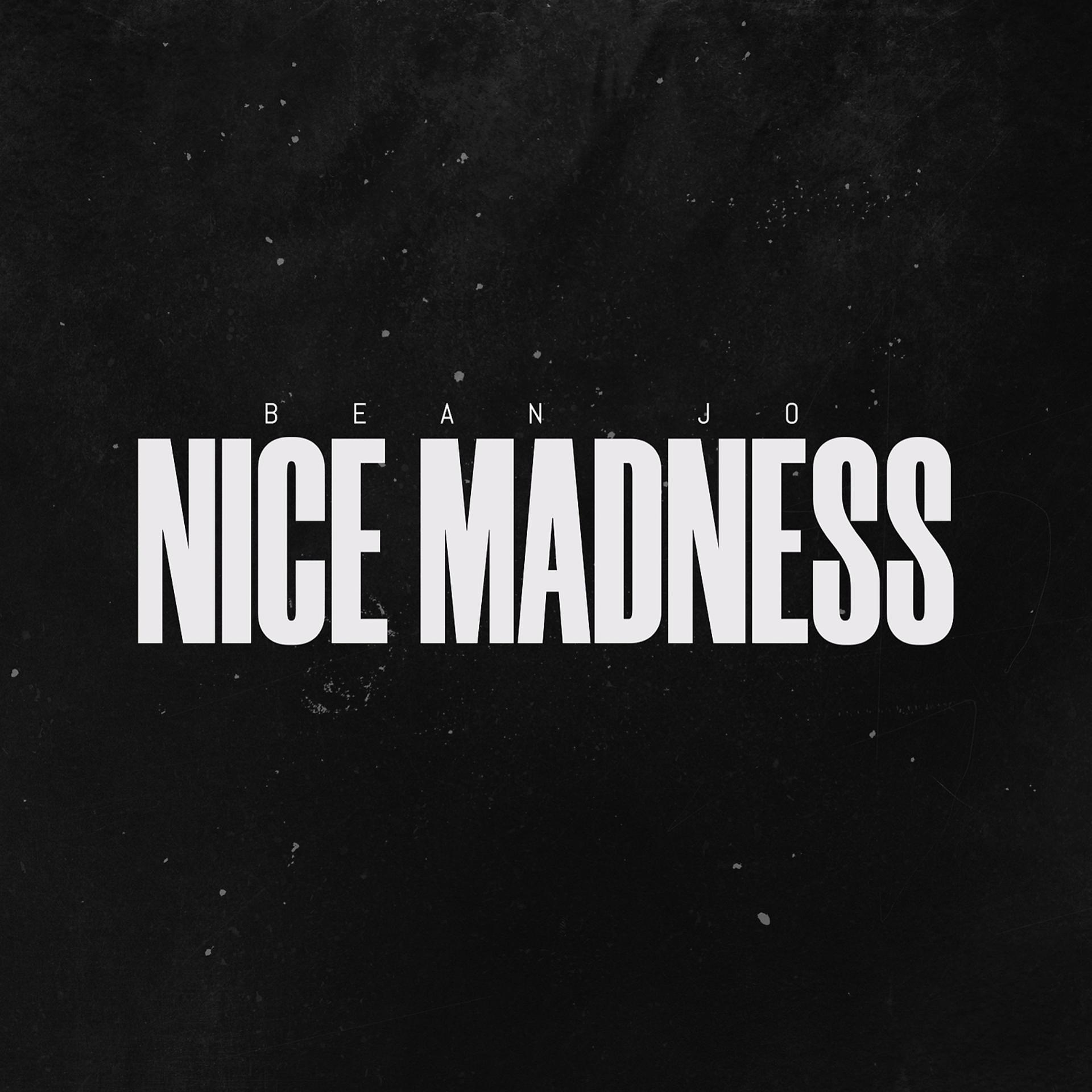 Постер альбома Nice Madness