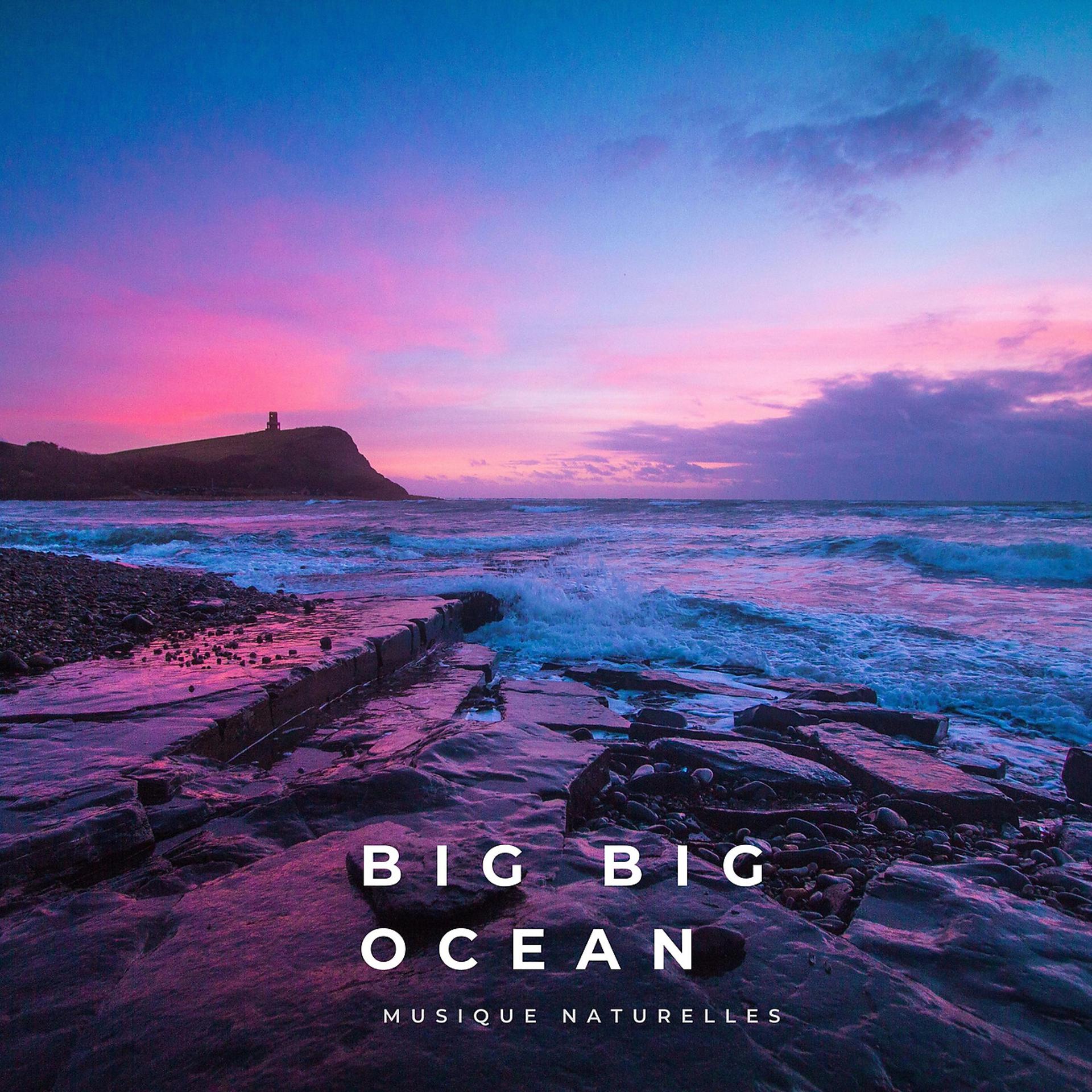 Постер альбома Big Big Ocean