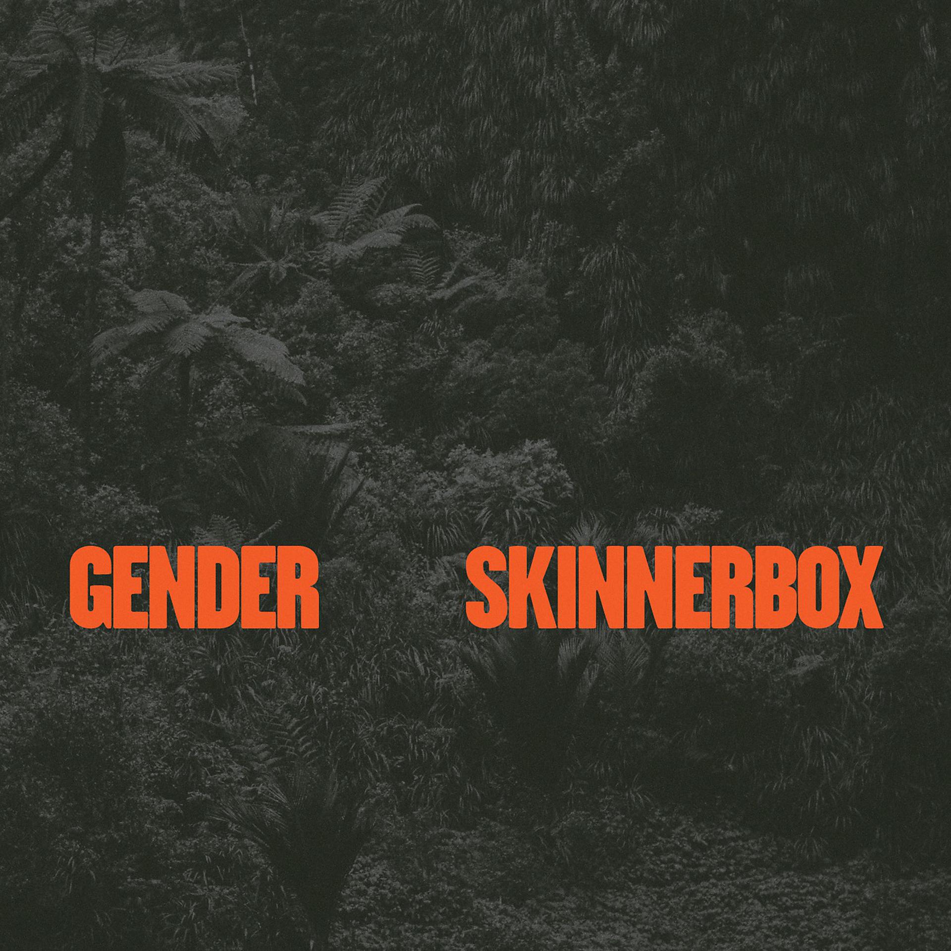 Постер альбома Gender