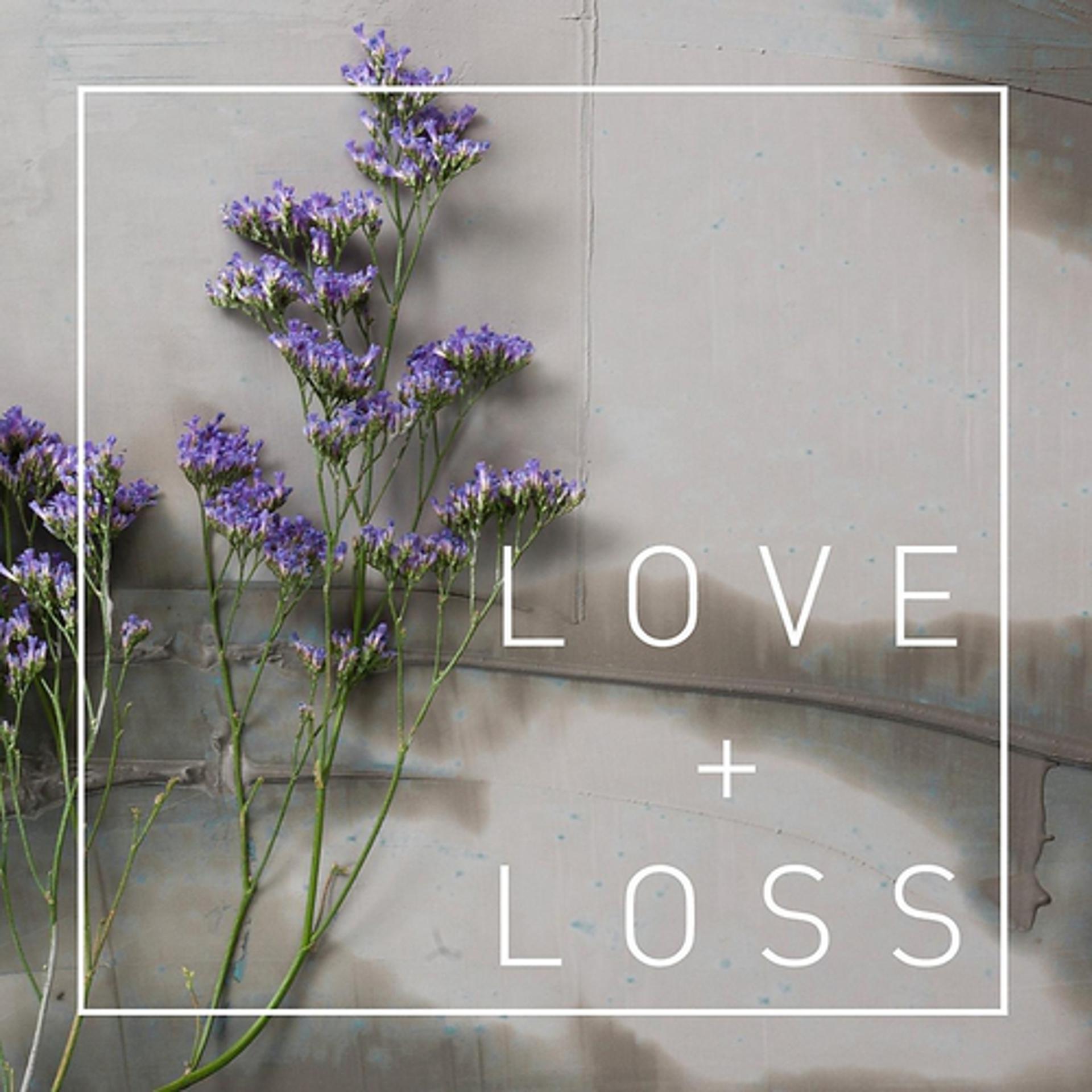Постер альбома Love + Loss