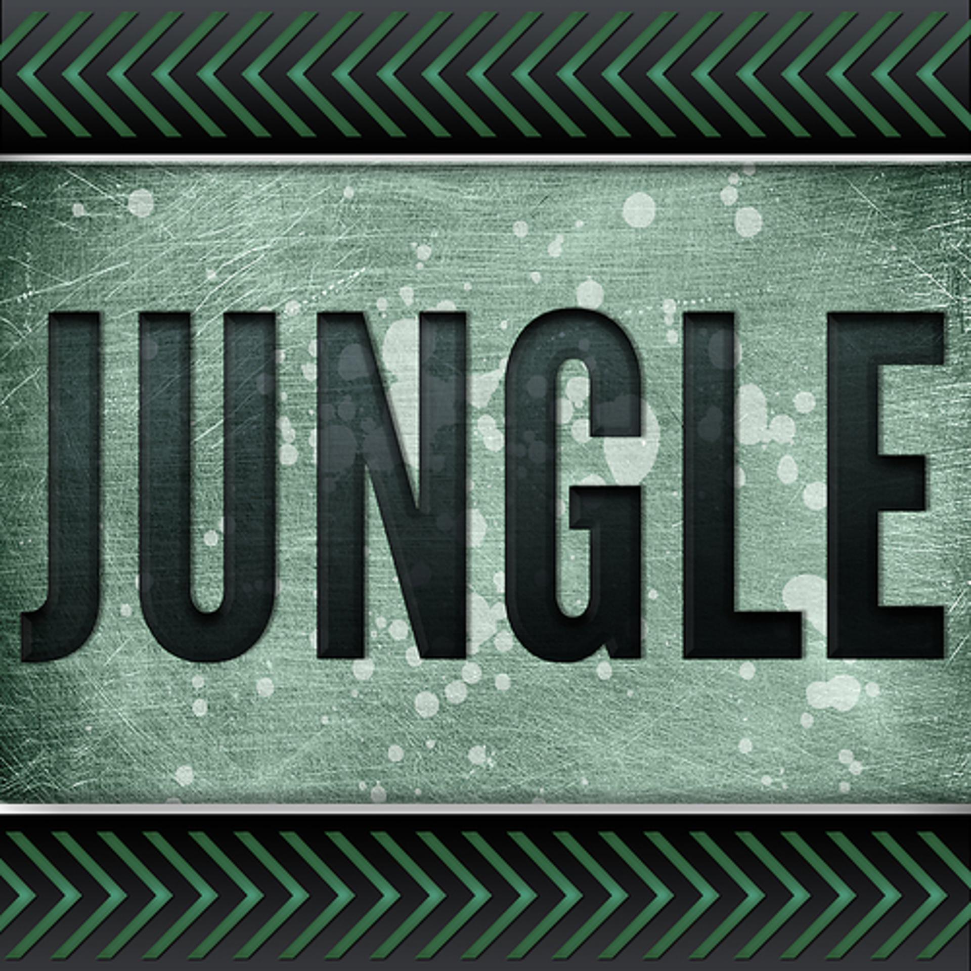 Постер альбома Jungle (Originally Performed by Jamie N Commons and X Ambassadors) (Karaoke Version)