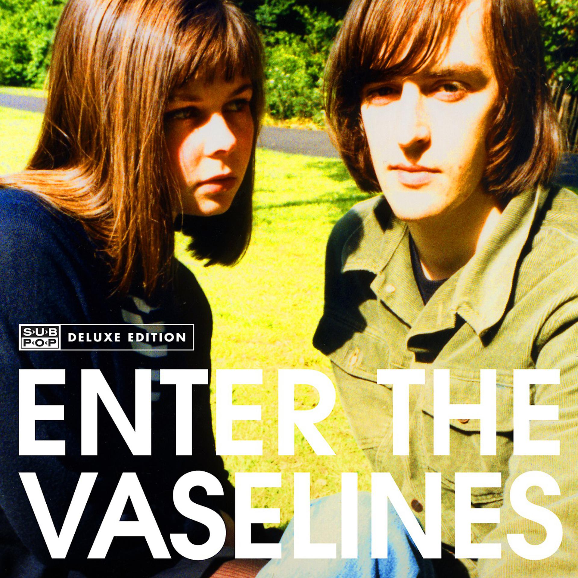 Постер альбома Enter The Vaselines