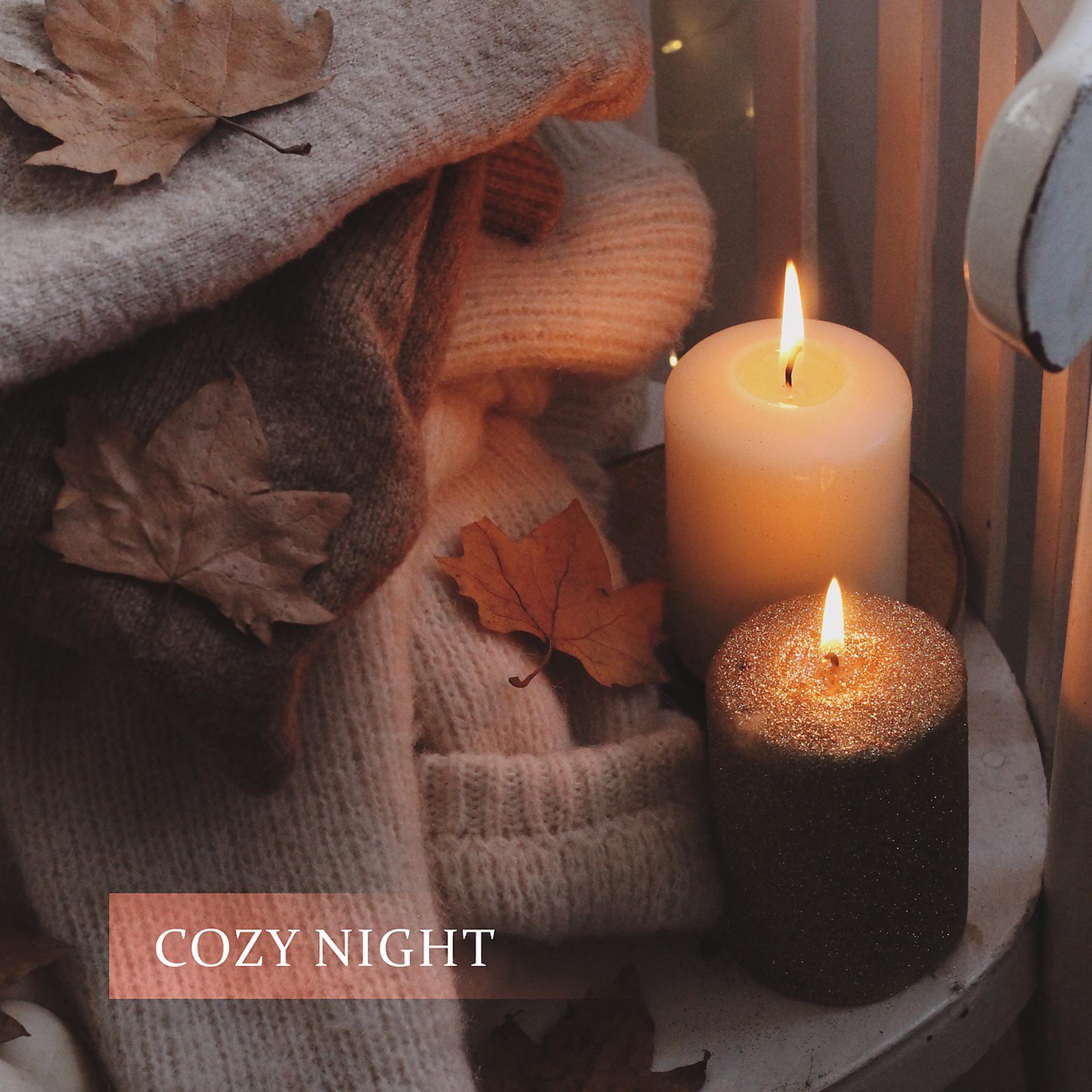 Постер альбома Cozy Night