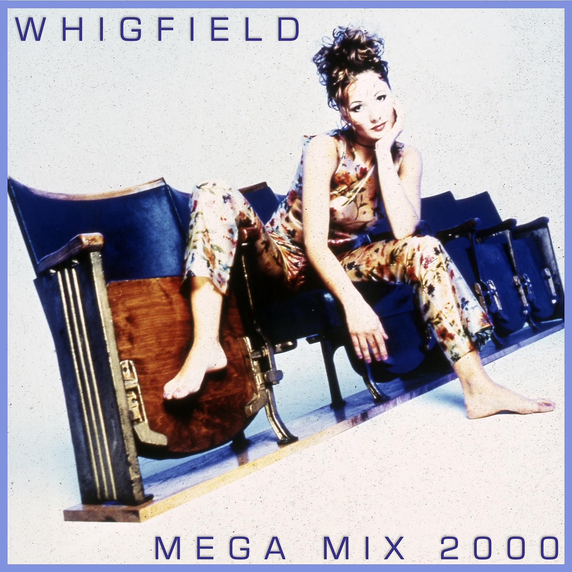 Постер альбома Mega Mix 2000