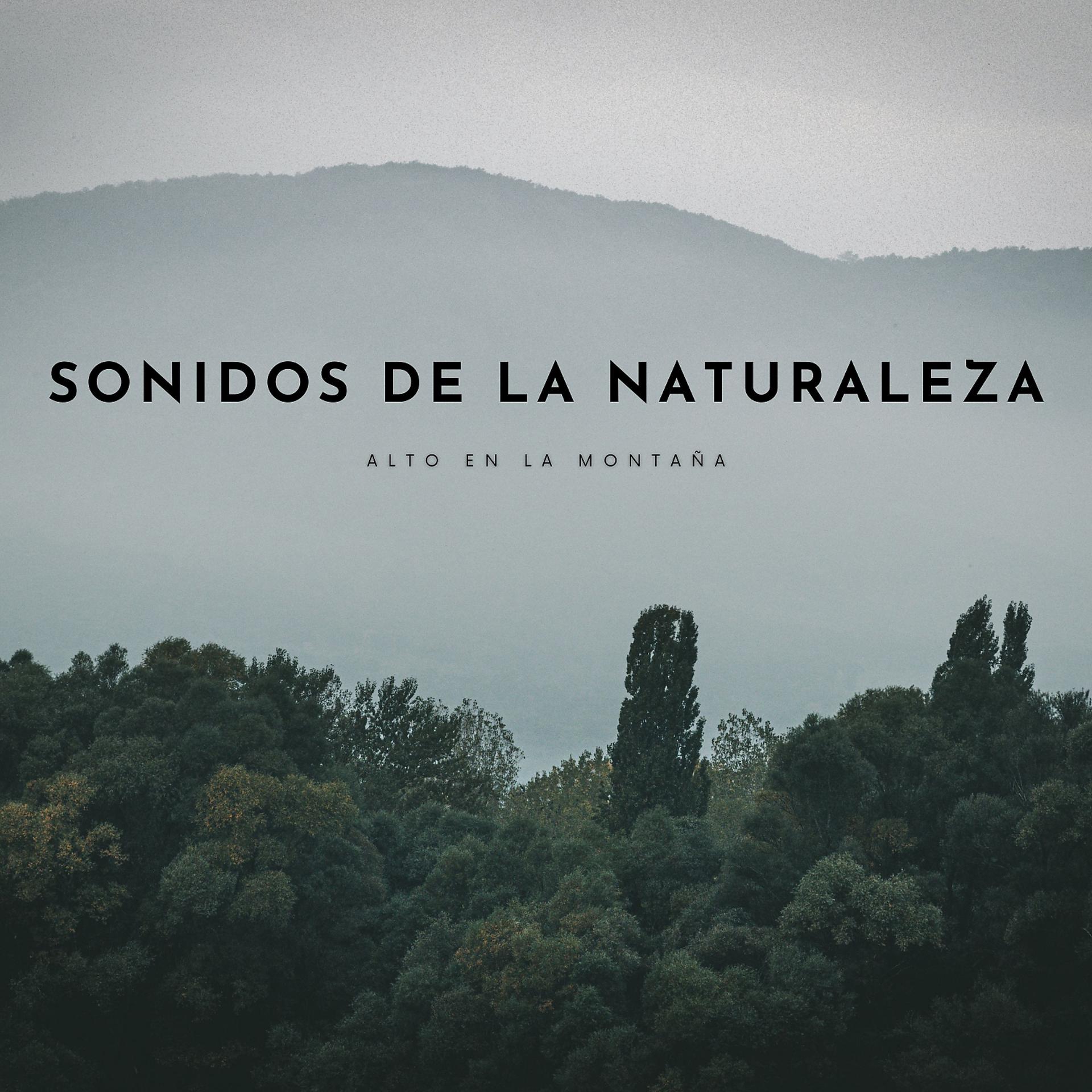 Постер альбома Sonidos De La Naturaleza: Alto En La Montaña