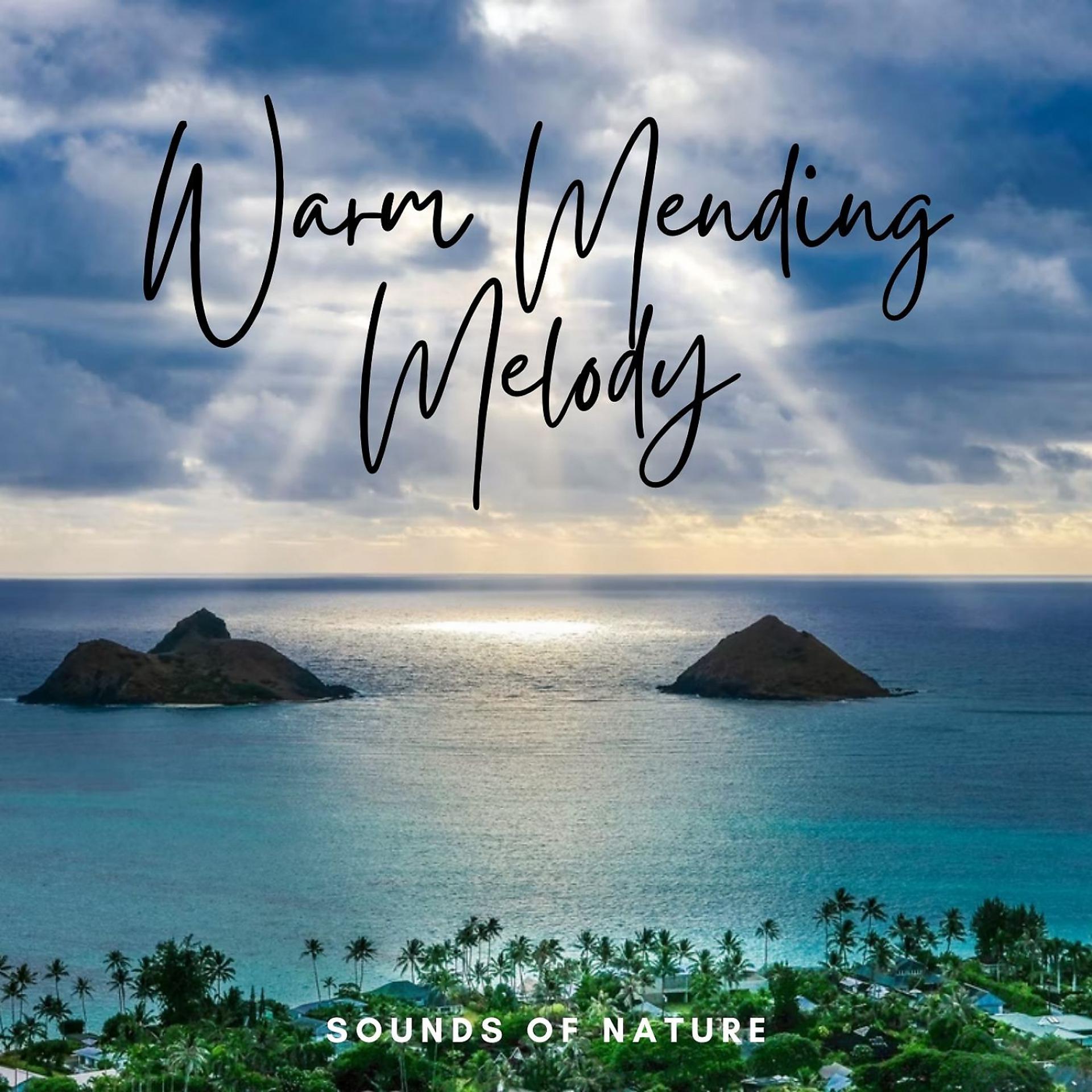Постер альбома Sounds of Nature: Warm Mending Melody