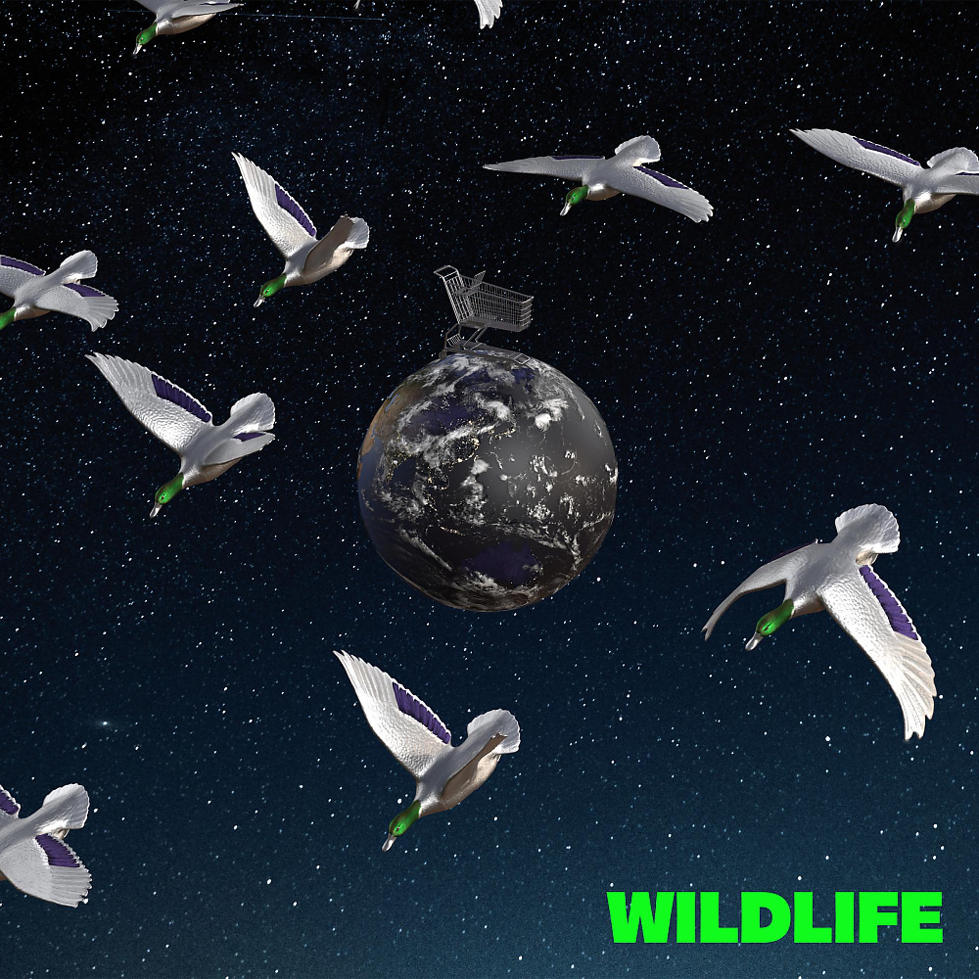 Постер альбома WILDLIFE