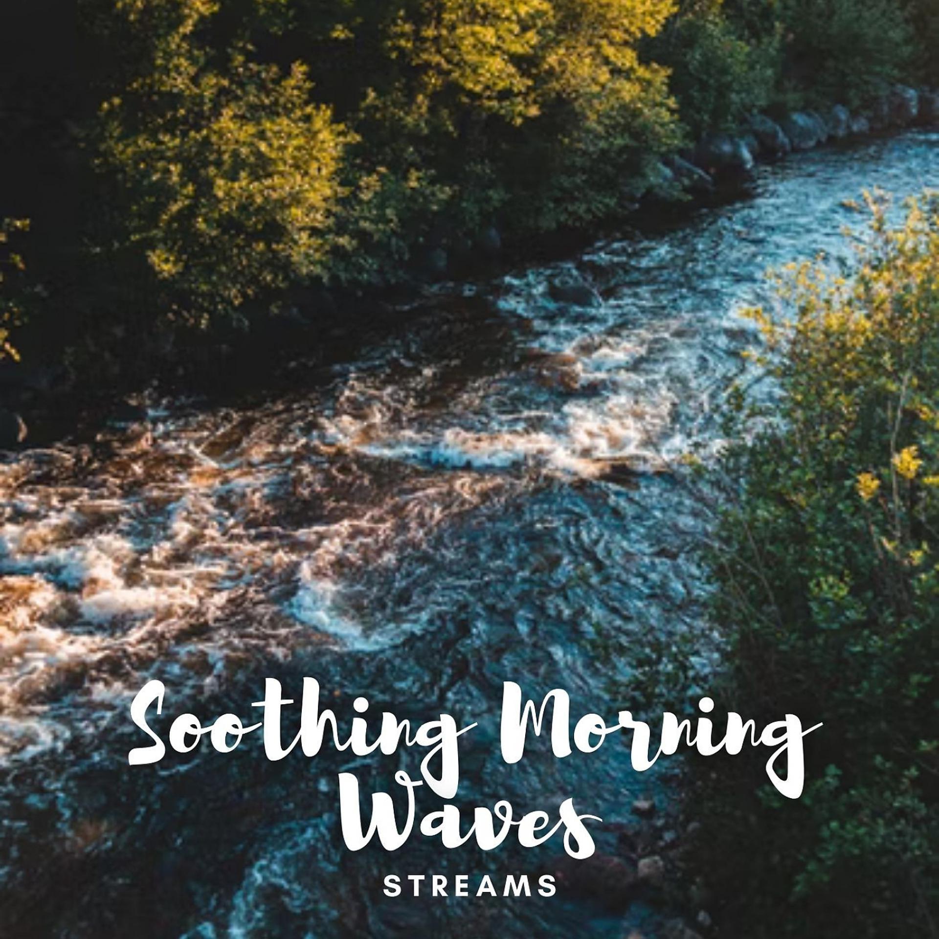Постер альбома Streams: Soothing Morning Waves