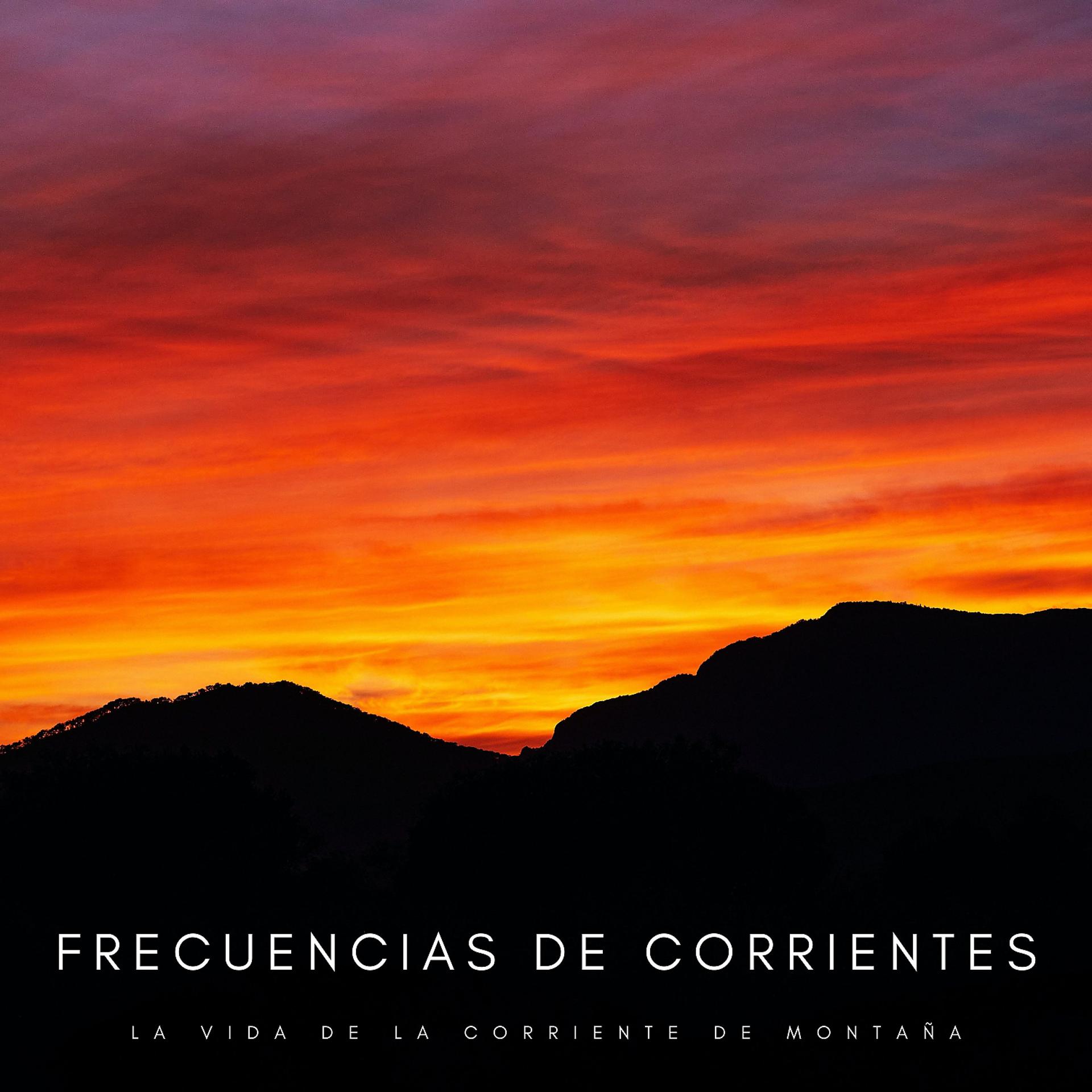 Постер альбома Frecuencias De Corrientes: La Vida De La Corriente De Montaña