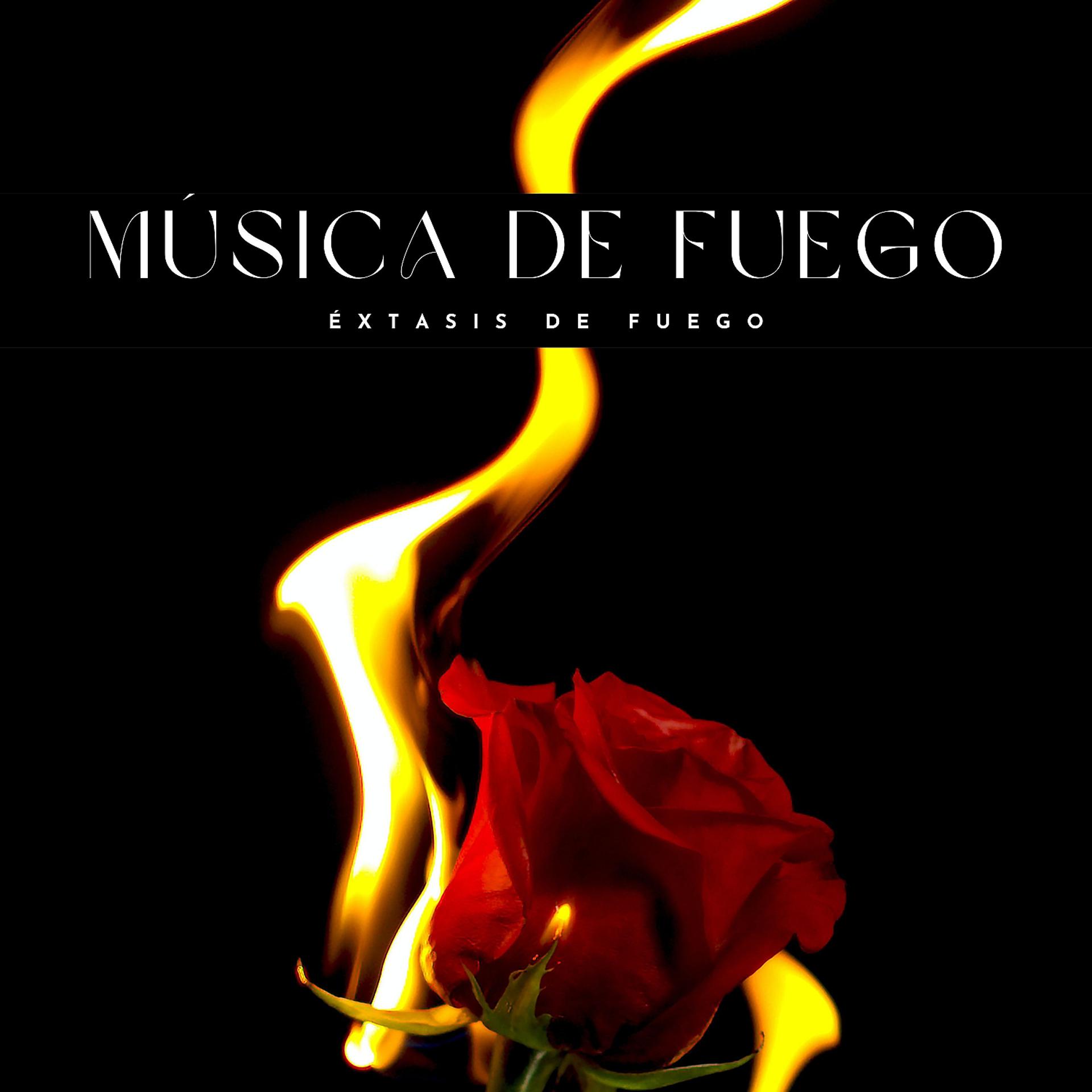 Постер альбома Música De Fuego: Éxtasis De Fuego
