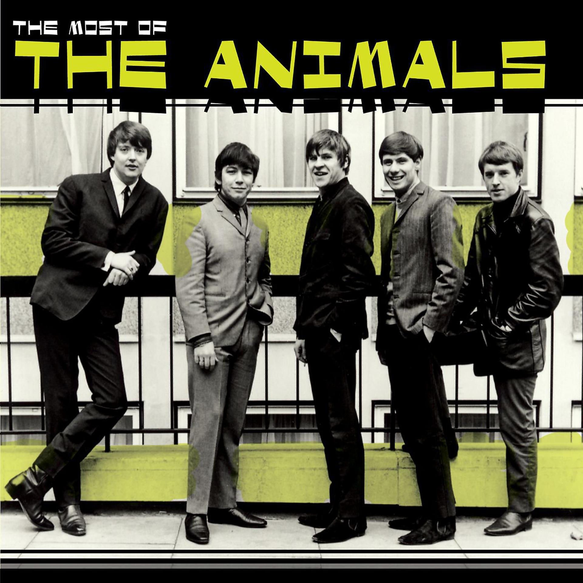 Постер альбома Most of the Animals