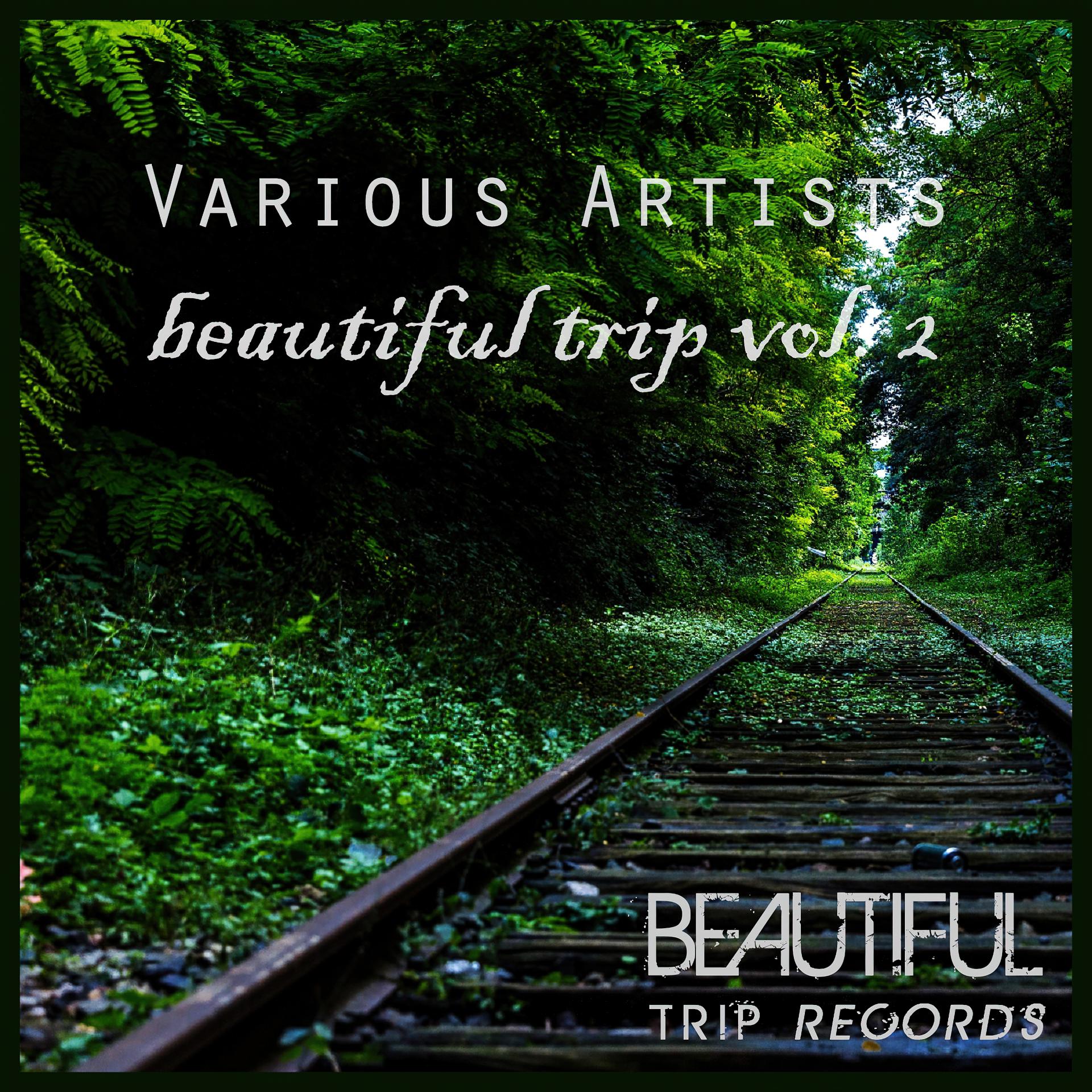 Постер альбома Beautiful Trip Vol. 2