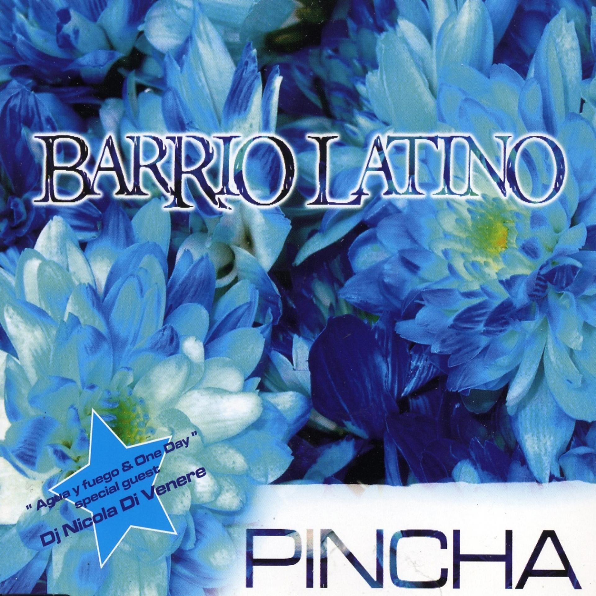 Постер альбома Pincha