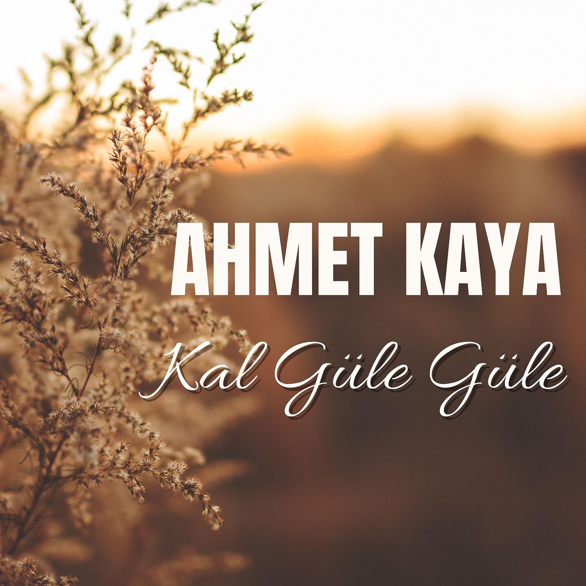 Постер альбома Kal Güle Güle