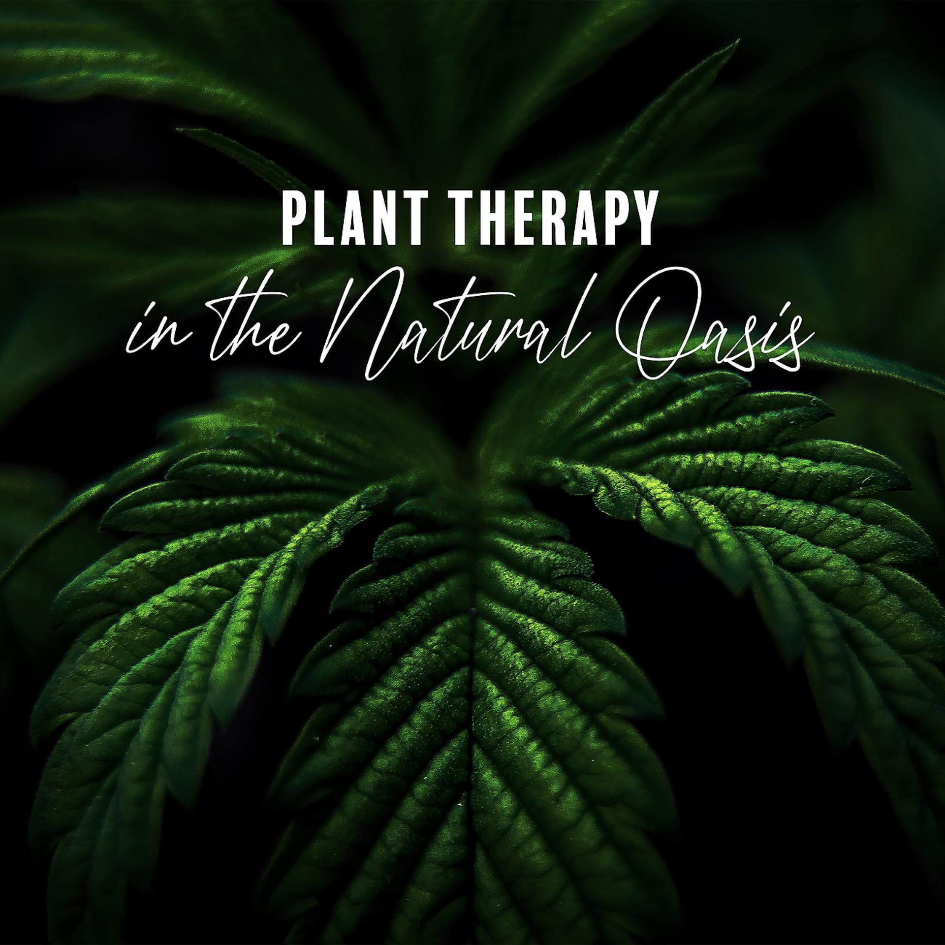 Постер альбома Plant Therapy in the Natural Oasis