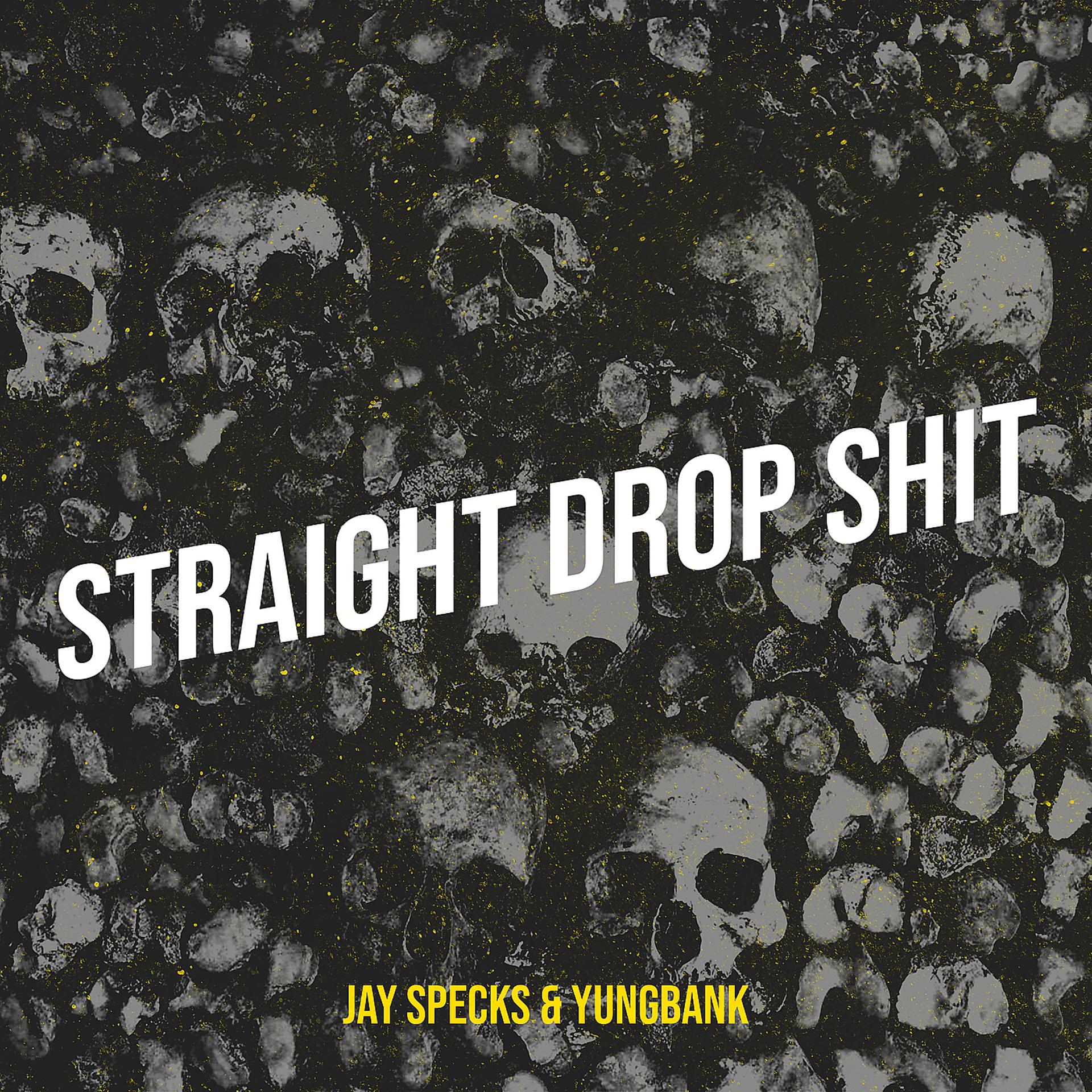 Постер альбома Straight Drop Shit