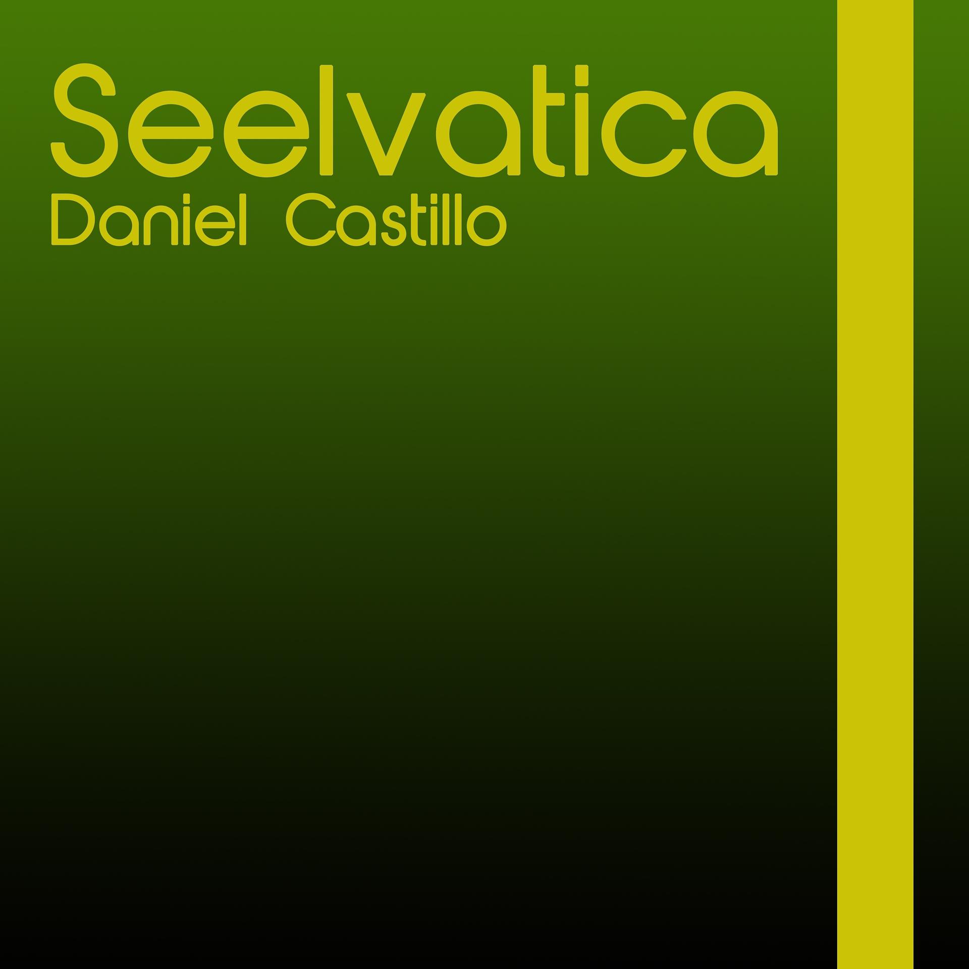 Постер альбома Seelvatica