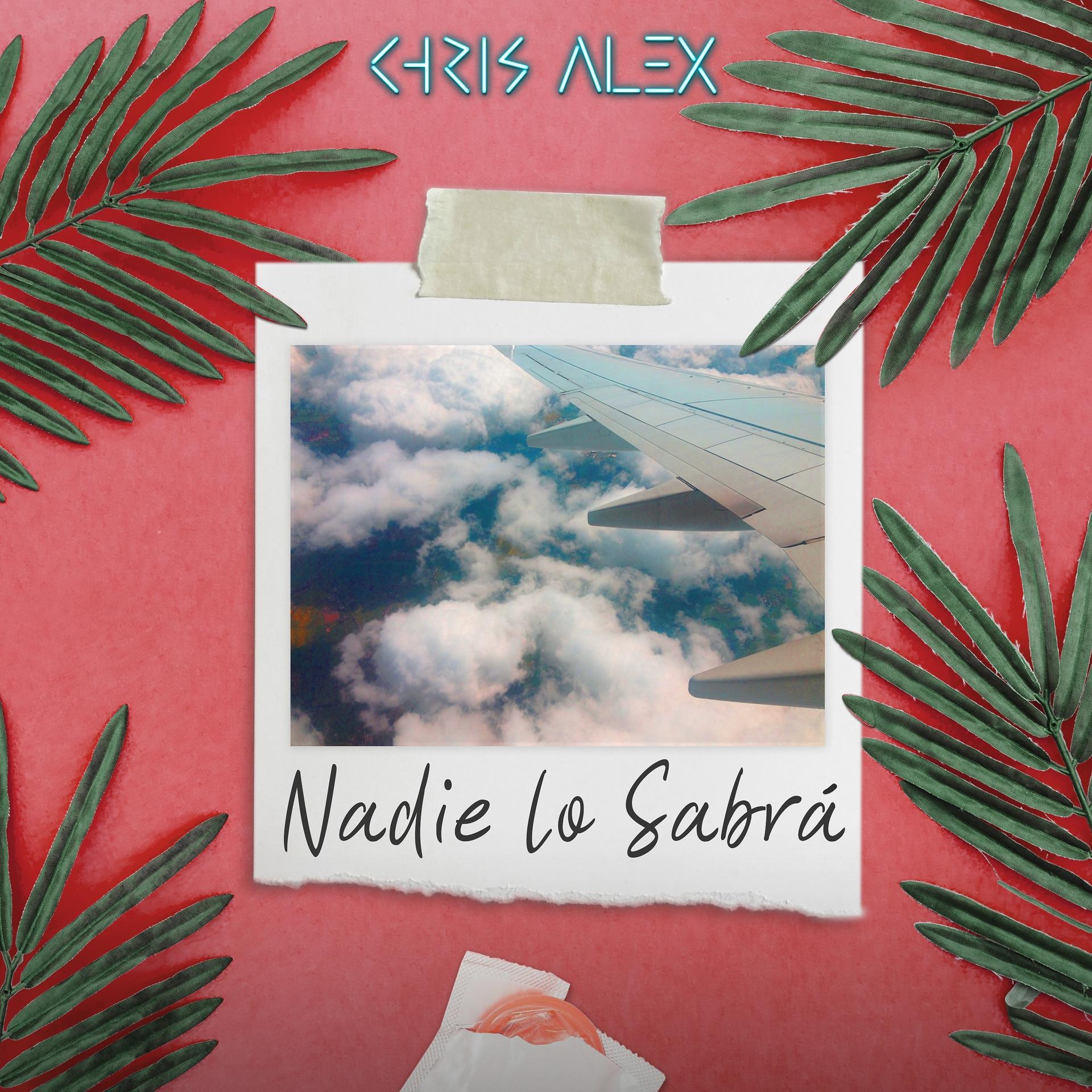 Постер альбома Nadie lo Sabrá