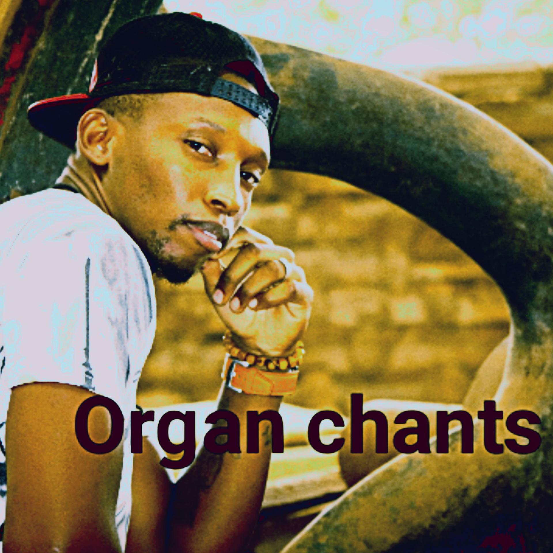 Постер альбома Organ Chants