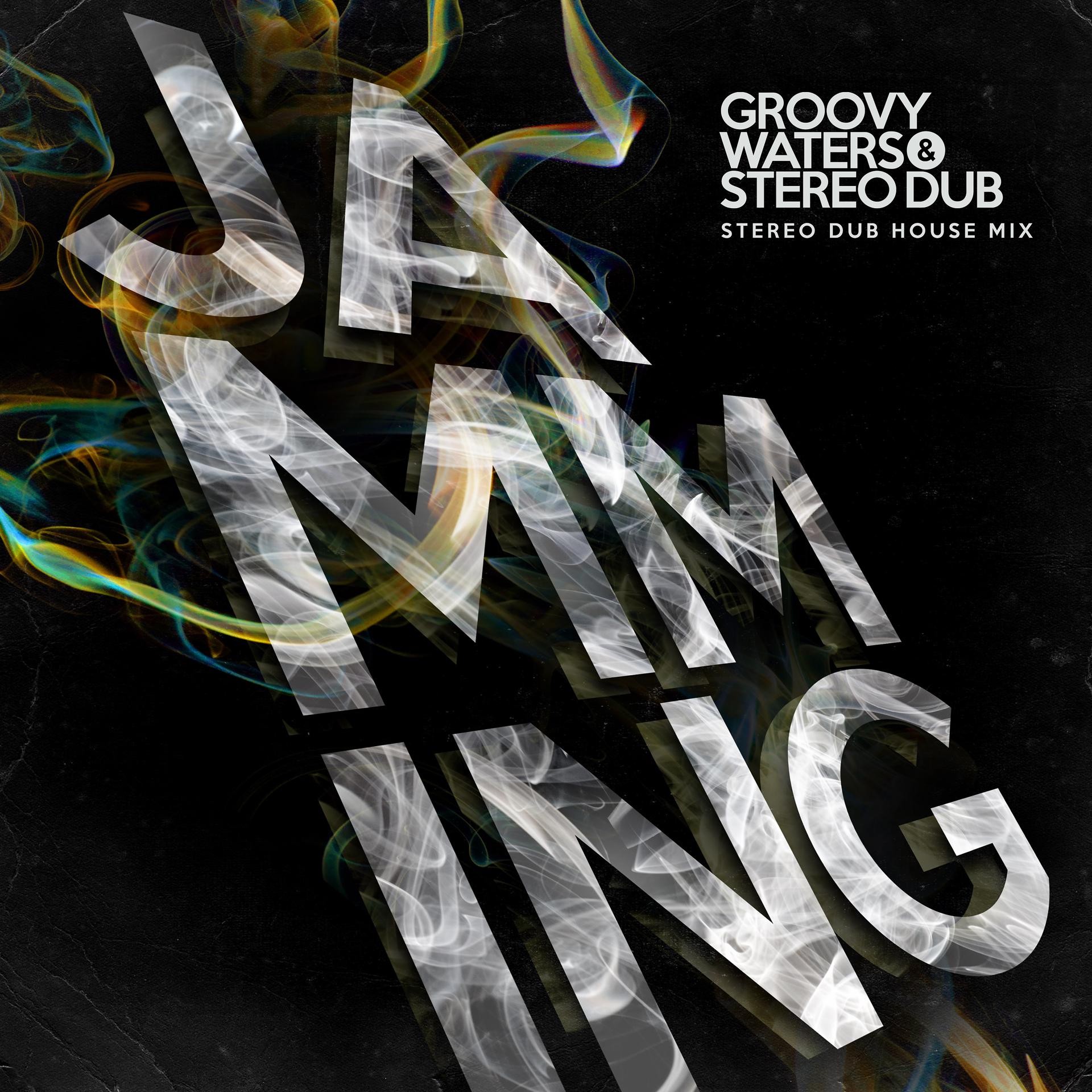 Постер альбома Jamming (Stereo Dub House Mix)