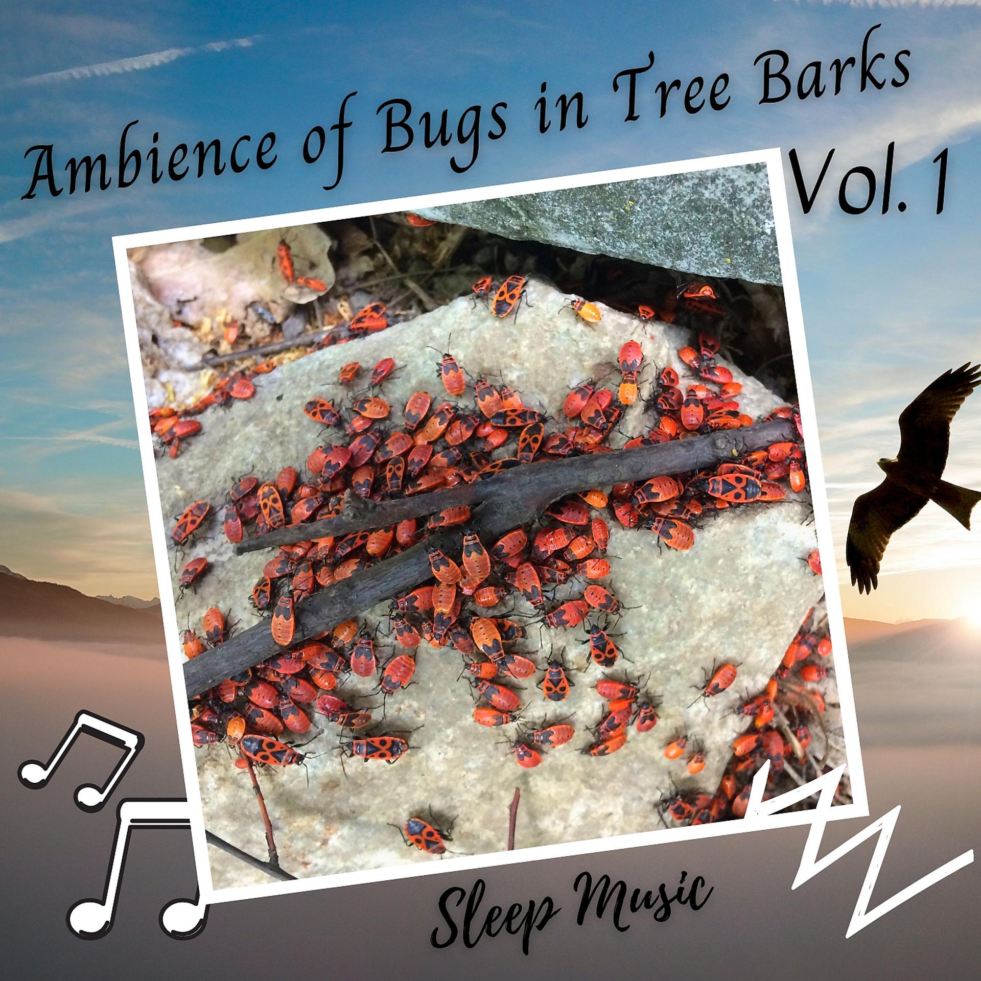 Постер альбома Sleep Music: Ambience of Bugs in Tree Barks Vol. 1