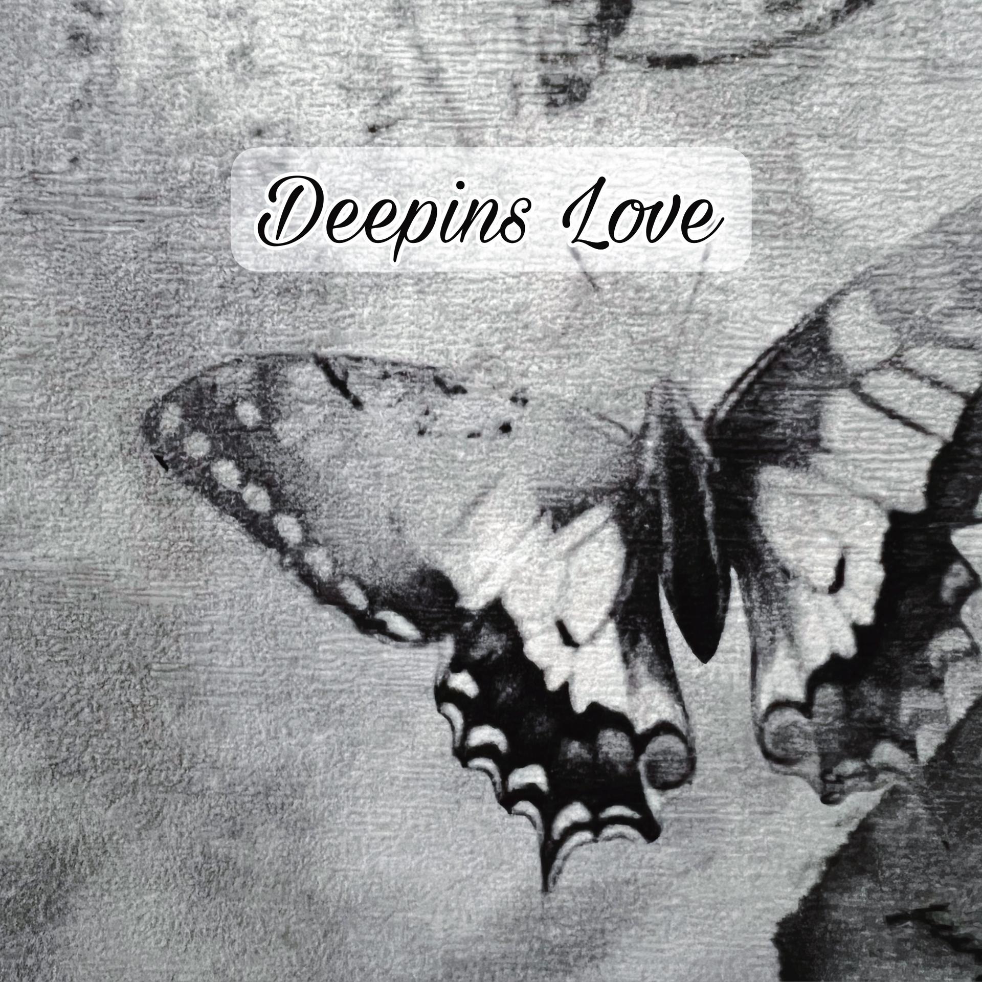 Постер альбома Deepins Love